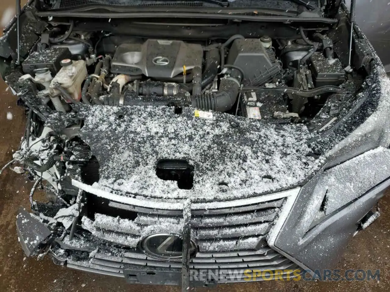 12 Photograph of a damaged car JTJDARDZ7M2243324 LEXUS NX 2021