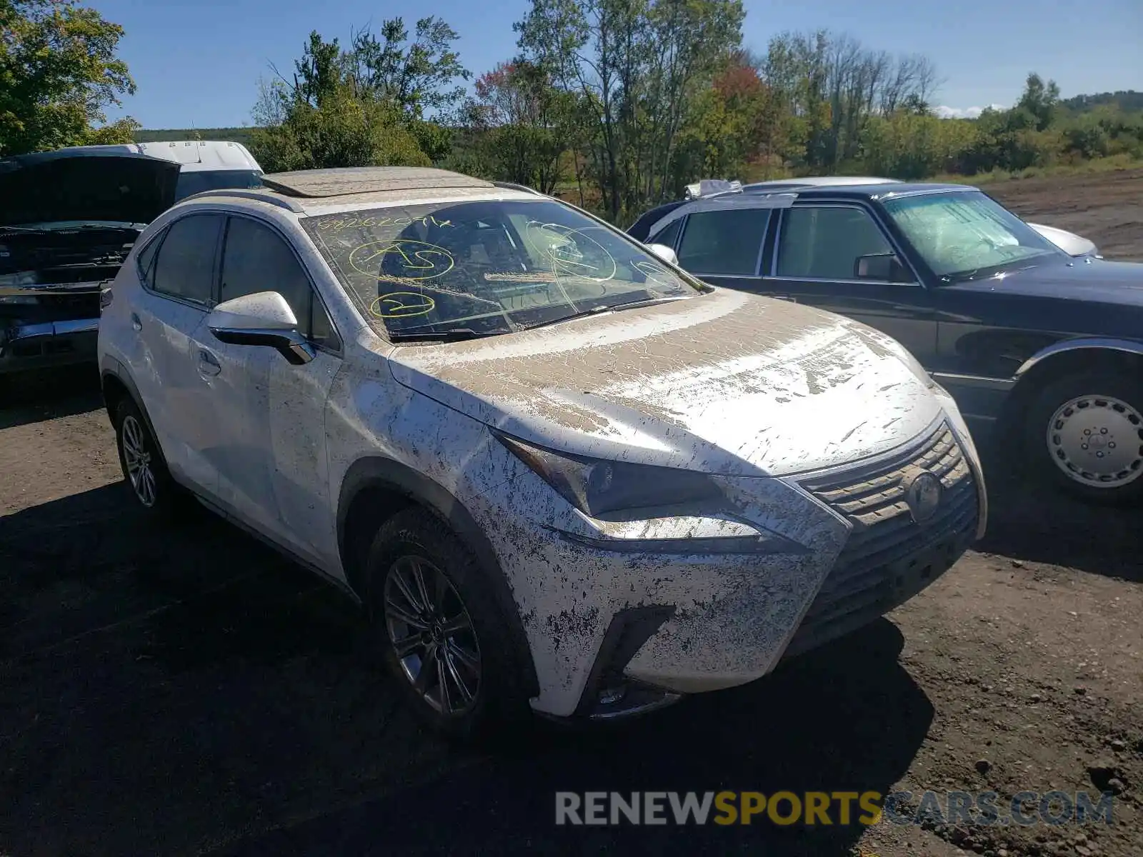 1 Photograph of a damaged car JTJDARDZ8M5019719 LEXUS NX 2021