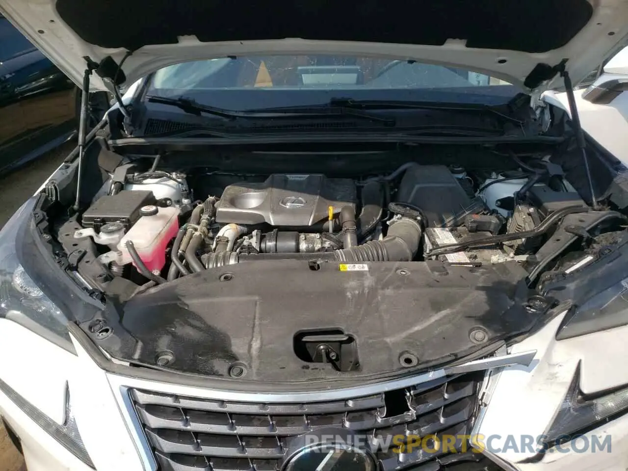 12 Photograph of a damaged car JTJDARDZXM5022072 LEXUS NX 2021
