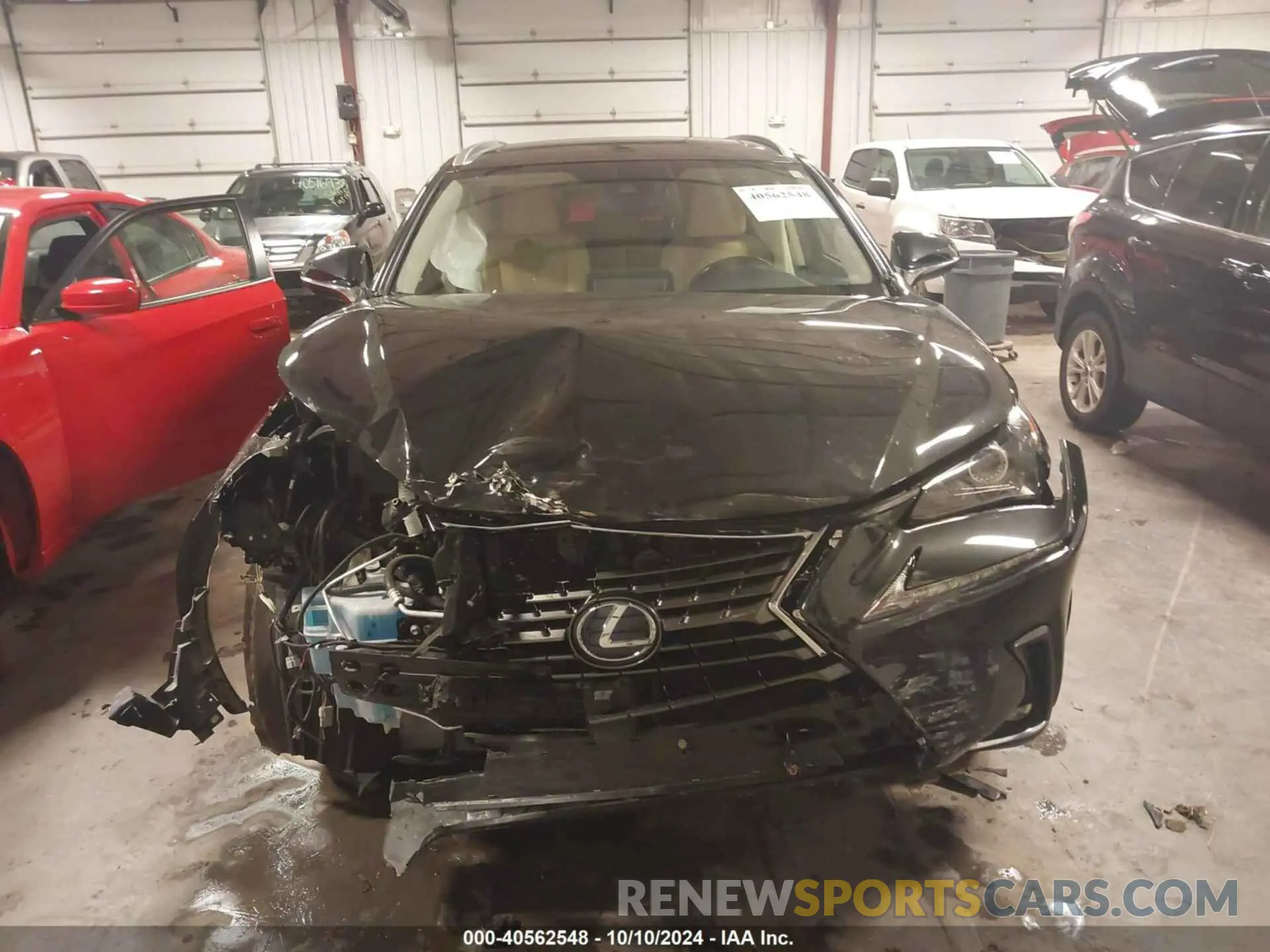 13 Photograph of a damaged car JTJDJRDZ9M5012875 LEXUS NX 2021