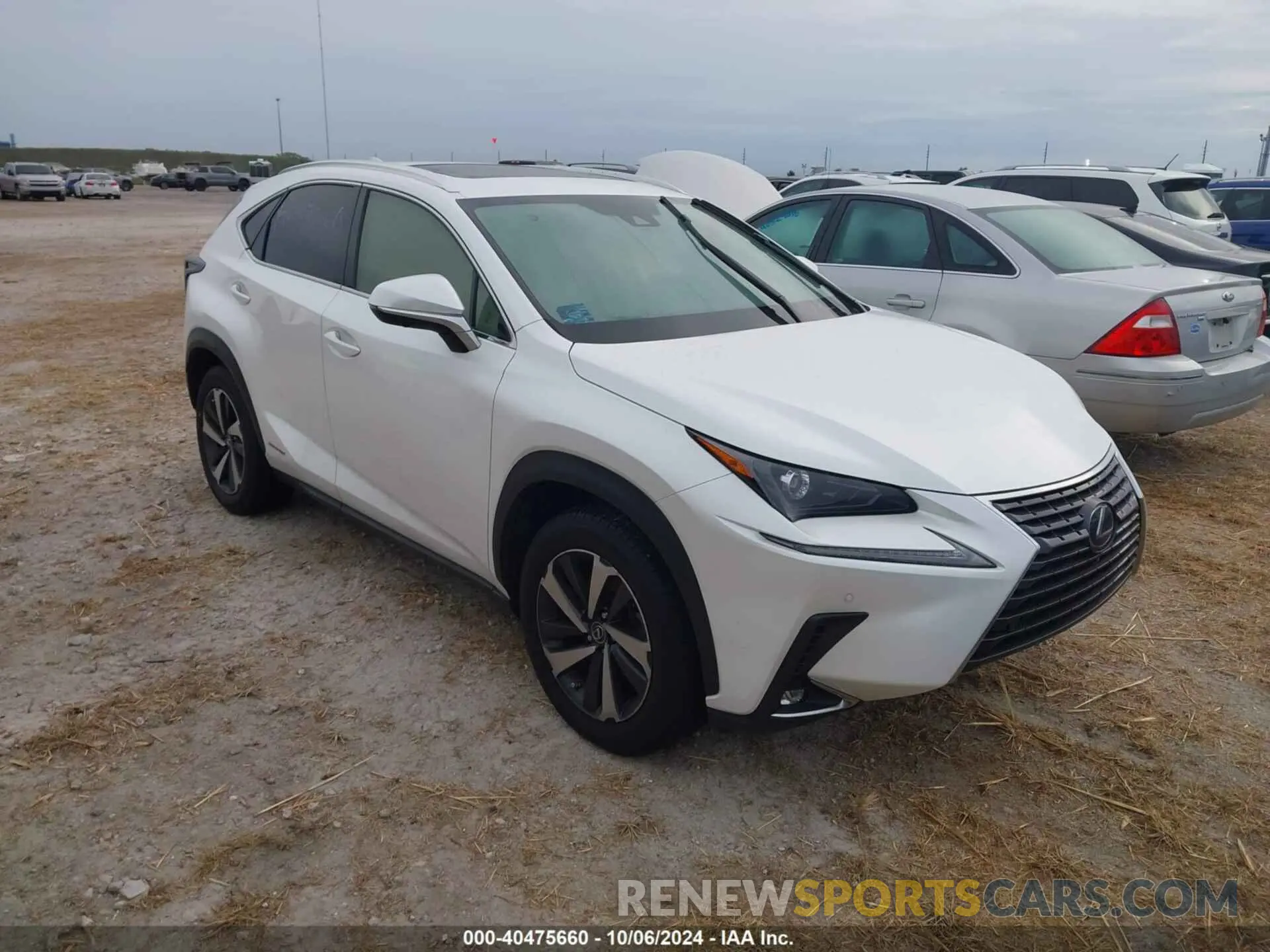 1 Photograph of a damaged car JTJGJRDZ0M2158841 LEXUS NX 2021