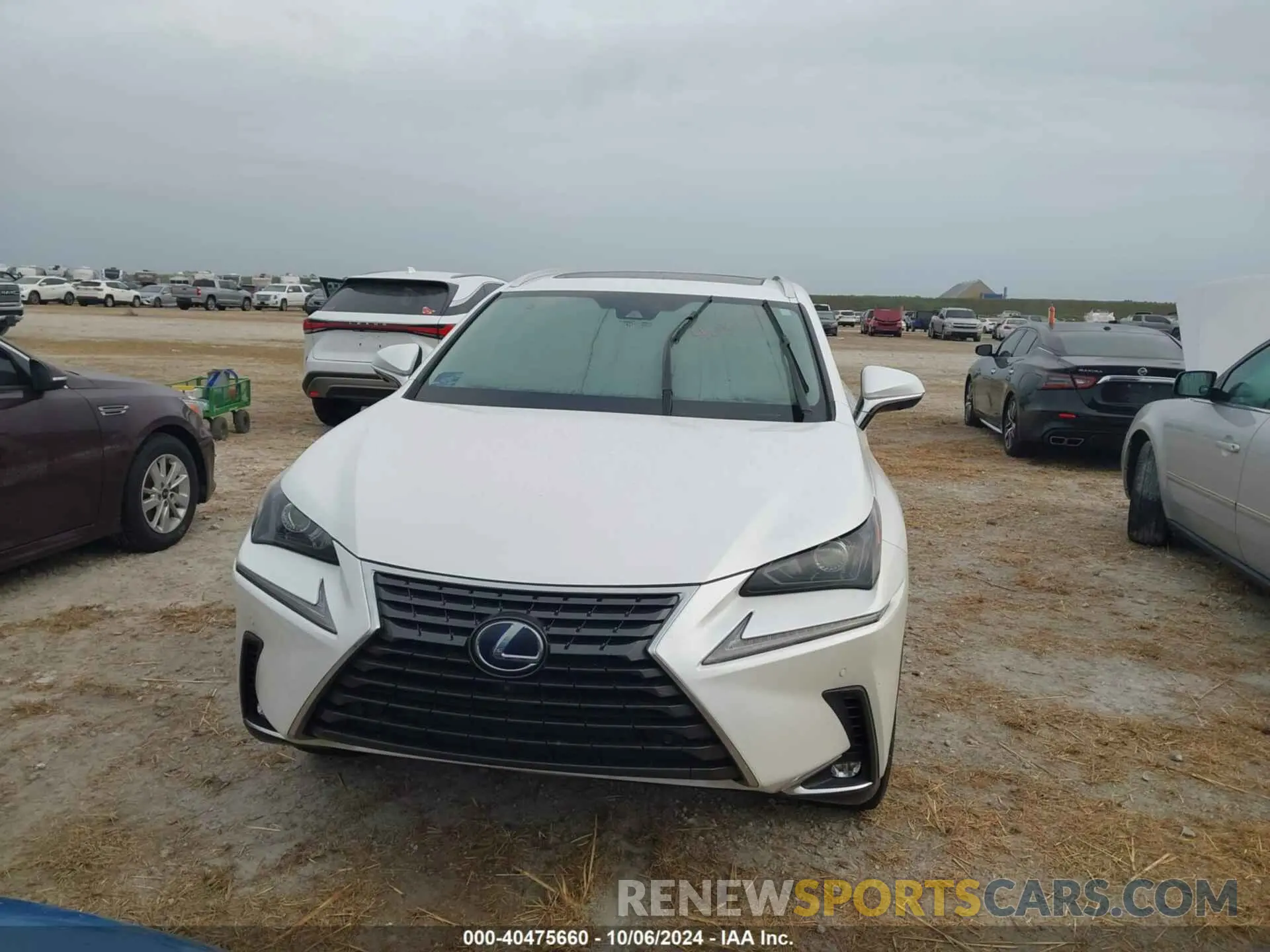 12 Photograph of a damaged car JTJGJRDZ0M2158841 LEXUS NX 2021