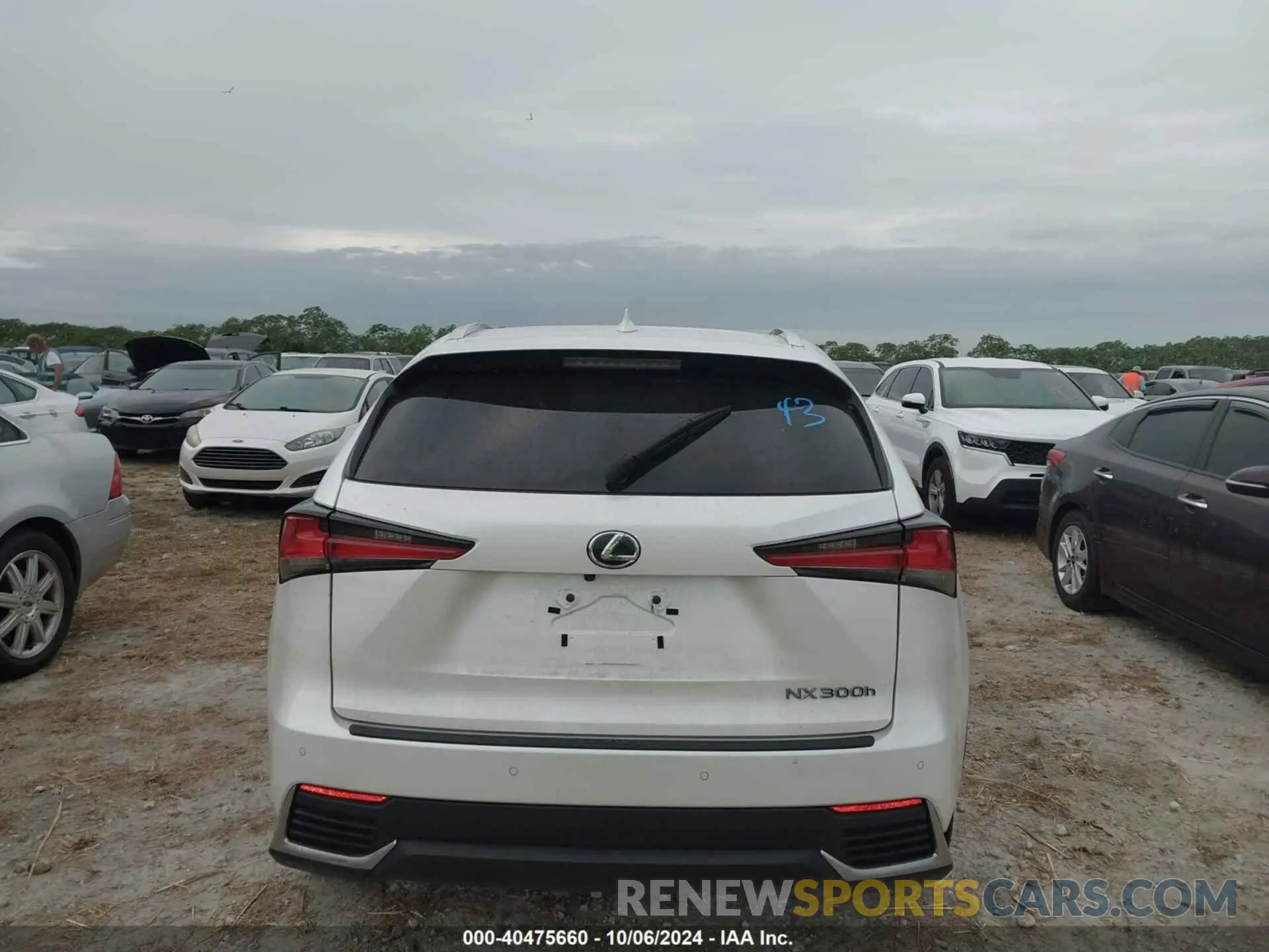 16 Photograph of a damaged car JTJGJRDZ0M2158841 LEXUS NX 2021