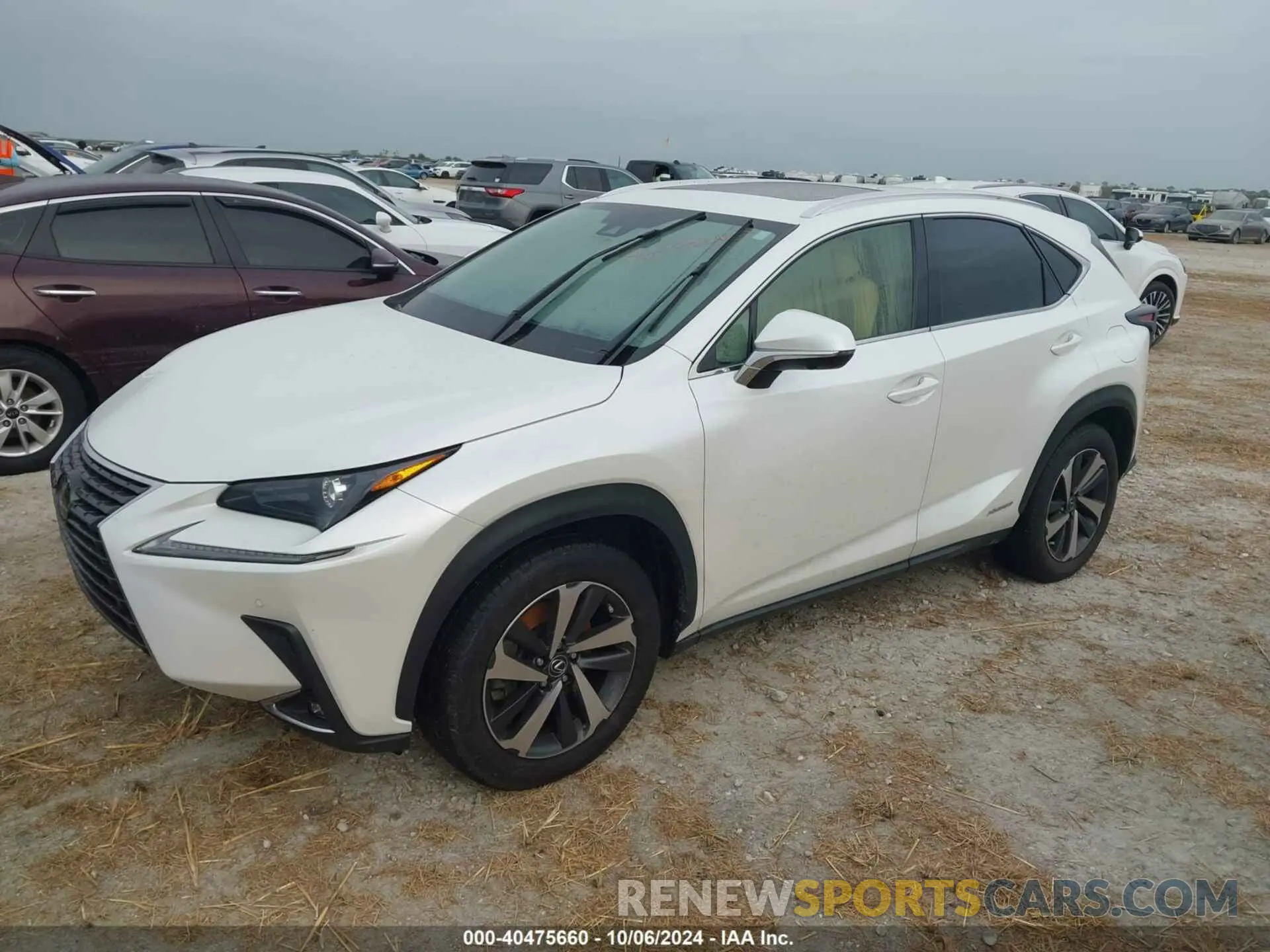 2 Photograph of a damaged car JTJGJRDZ0M2158841 LEXUS NX 2021