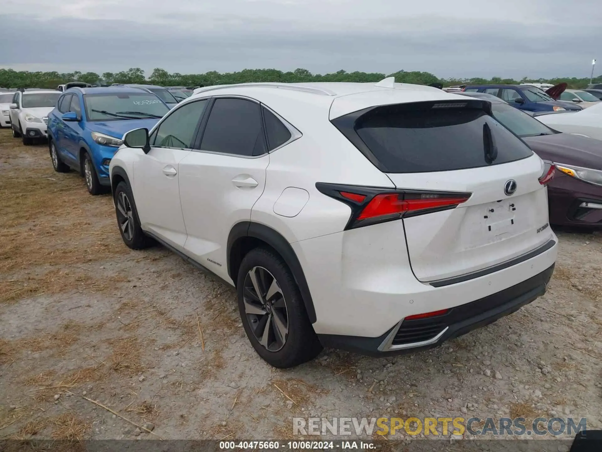 3 Photograph of a damaged car JTJGJRDZ0M2158841 LEXUS NX 2021
