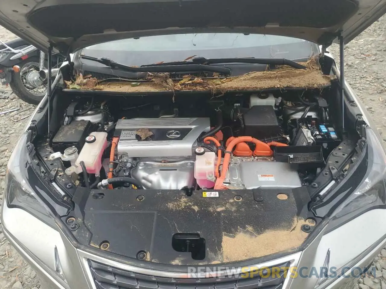 12 Photograph of a damaged car JTJGJRDZ7M2161509 LEXUS NX 2021