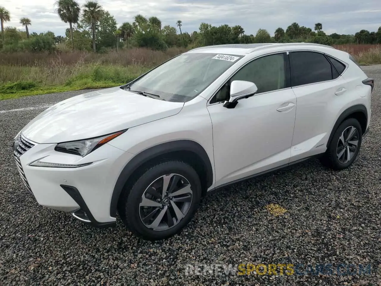 1 Photograph of a damaged car JTJGJRDZ8M5014923 LEXUS NX 2021