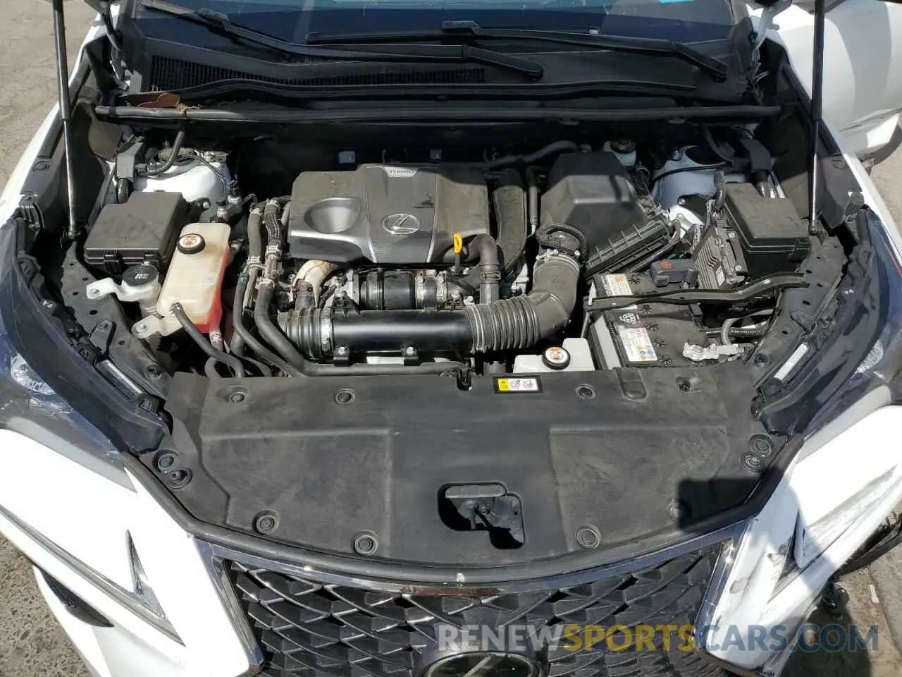 12 Photograph of a damaged car JTJSARBZ0M2196454 LEXUS NX 2021