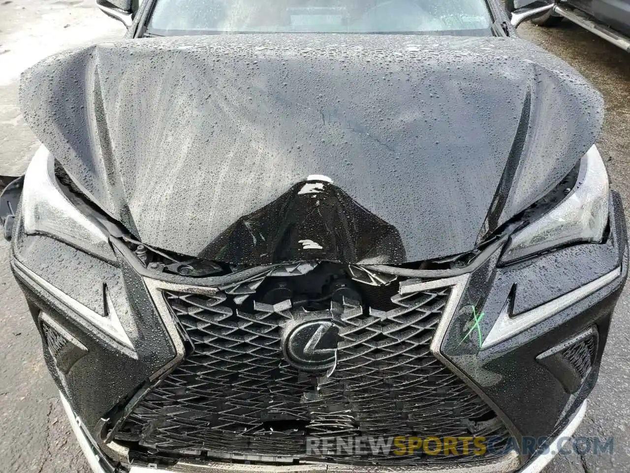 11 Photograph of a damaged car JTJSARBZ1M2179534 LEXUS NX 2021