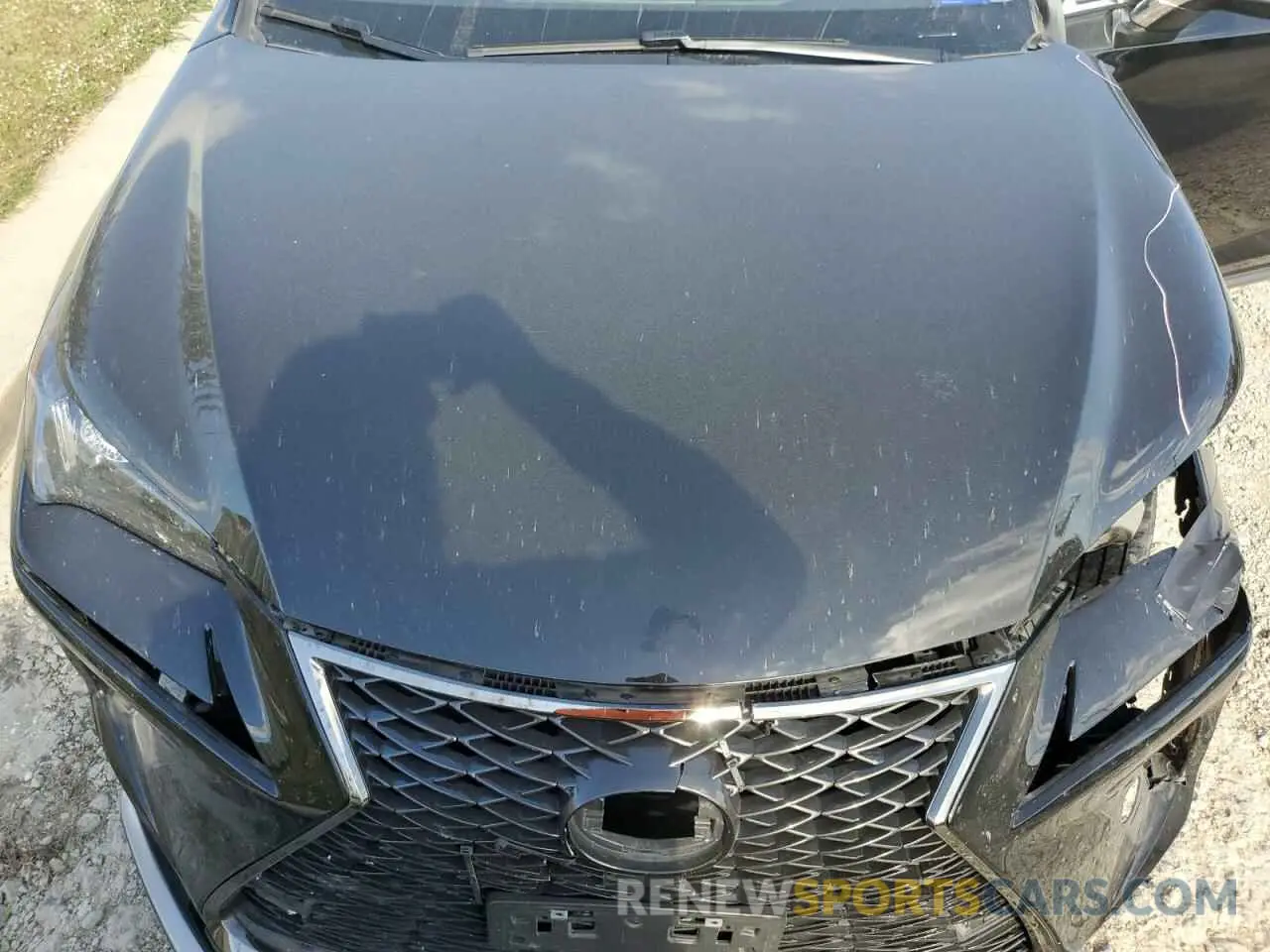 11 Photograph of a damaged car JTJSARBZ2M2185004 LEXUS NX 2021