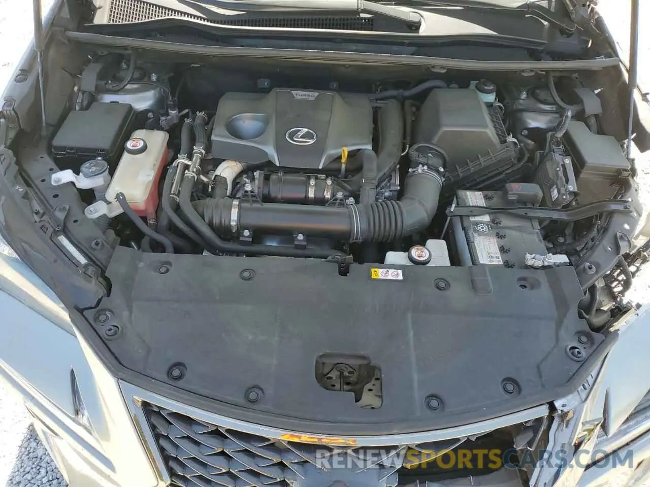 13 Photograph of a damaged car JTJSARBZ5M2197860 LEXUS NX 2021