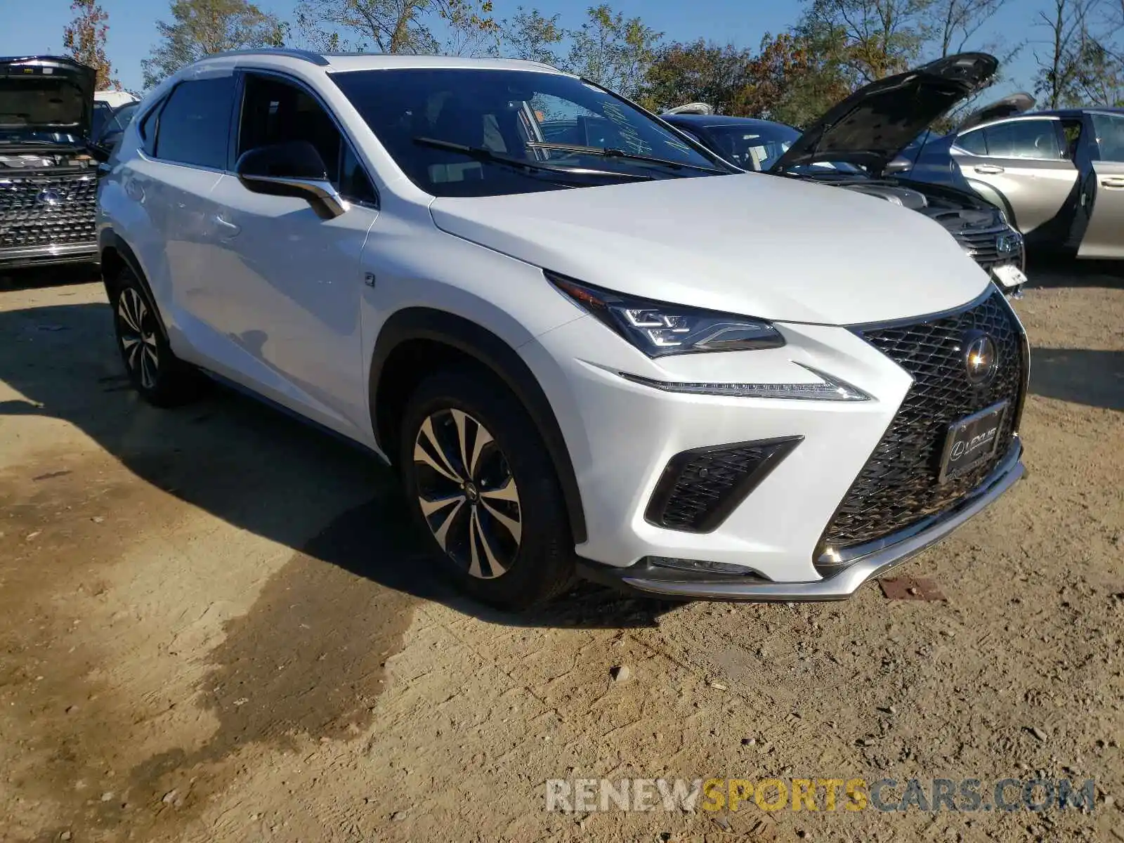 1 Photograph of a damaged car JTJSARDZ7M5027818 LEXUS NX 2021