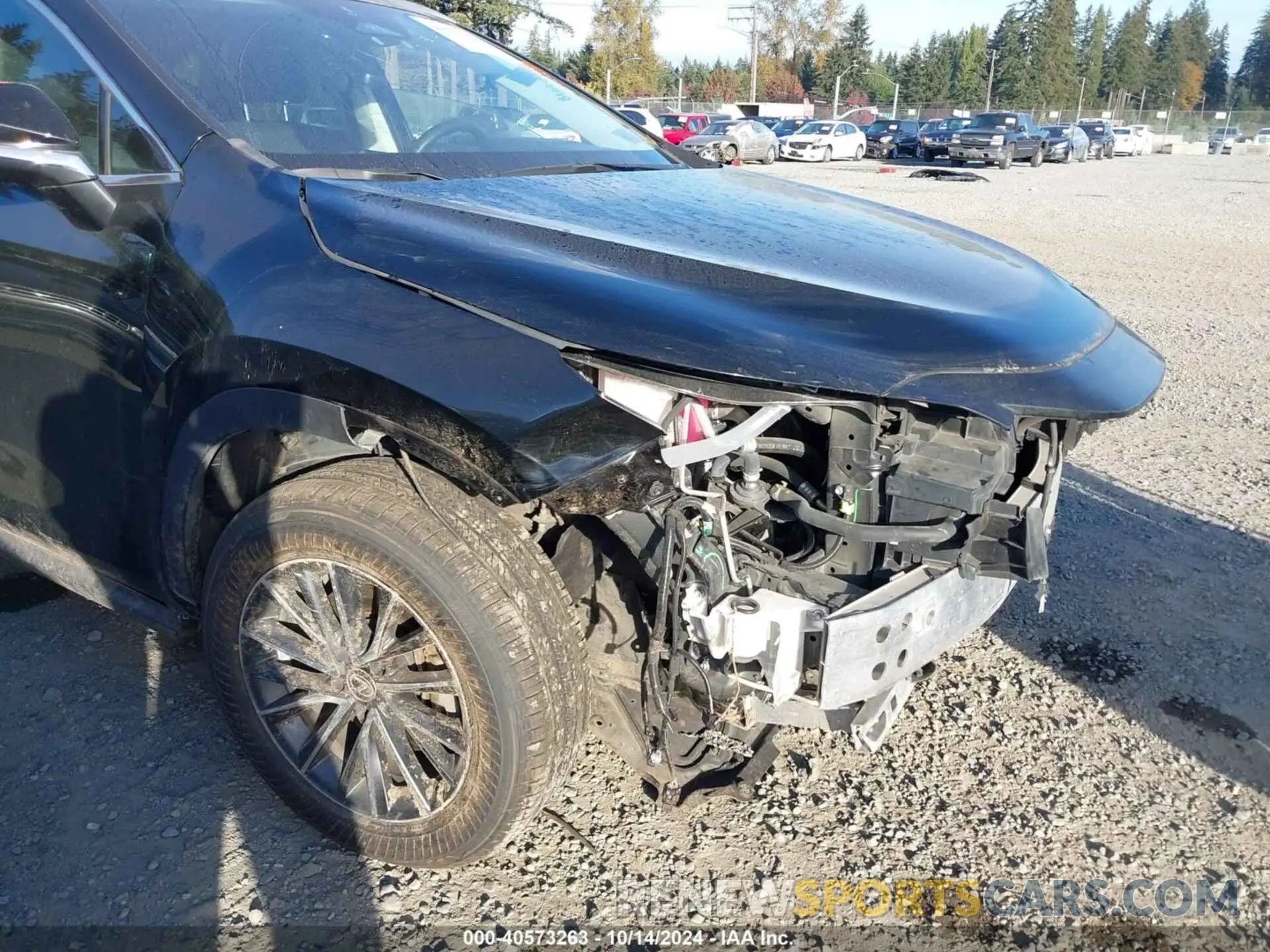 6 Photograph of a damaged car 2T2AKCEZ5PC010090 LEXUS NX 2023