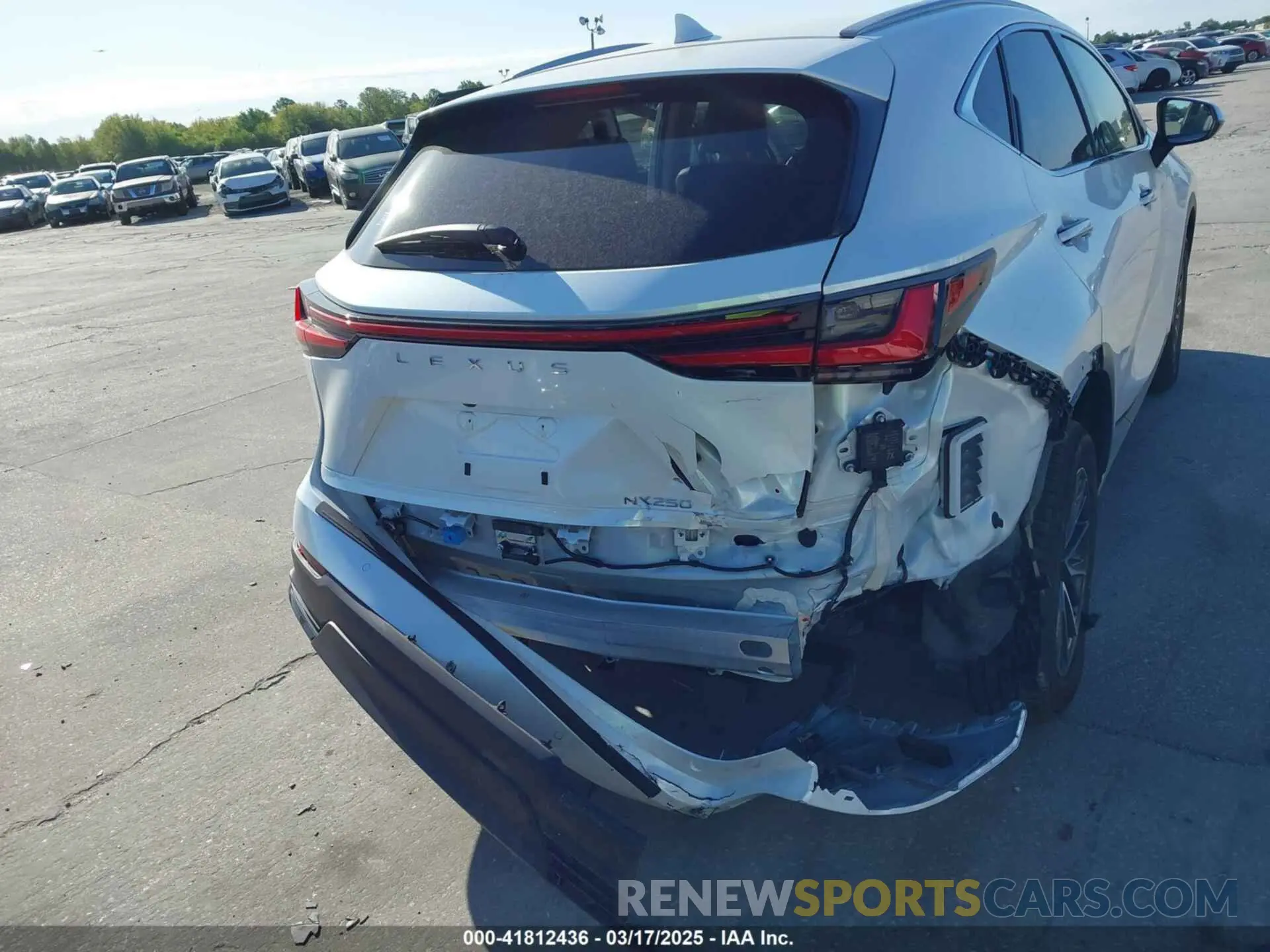 16 Photograph of a damaged car JTJGDCAZ6S2016077 LEXUS NX 2025