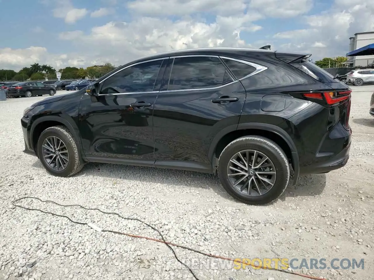 2 Photograph of a damaged car 2T2ADCAZ2NC001134 LEXUS NX 250 2022