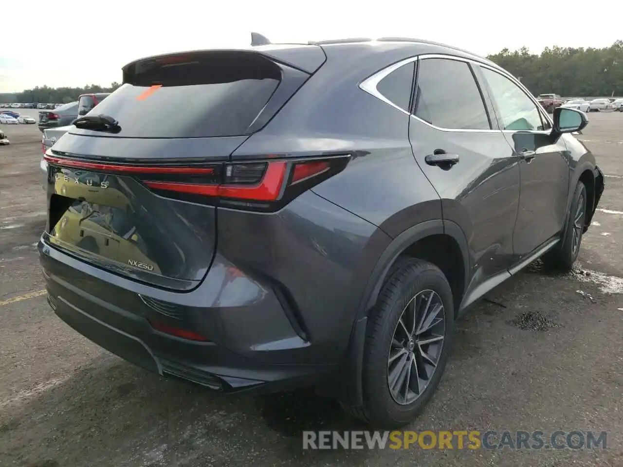 4 Photograph of a damaged car 2T2ADCAZ3NC001188 LEXUS NX 250 2022