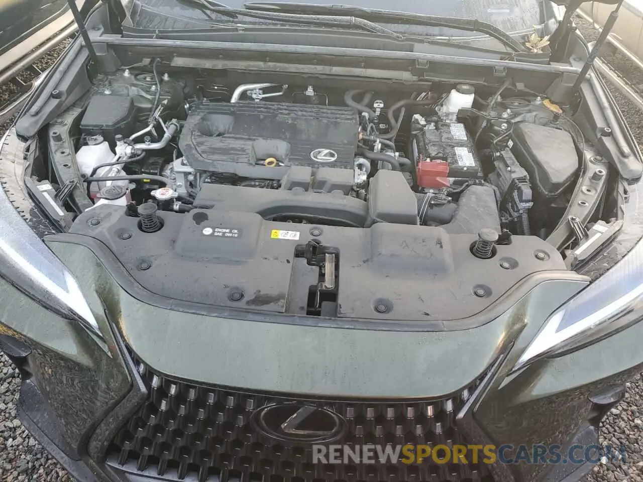 12 Photograph of a damaged car 2T2ADCAZ4NC002446 LEXUS NX 250 2022
