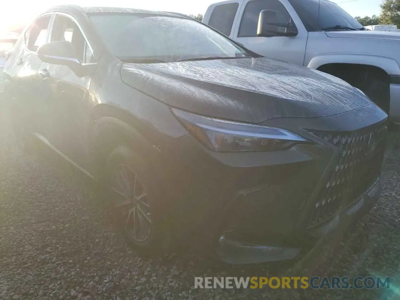 4 Photograph of a damaged car 2T2ADCAZ4NC002446 LEXUS NX 250 2022