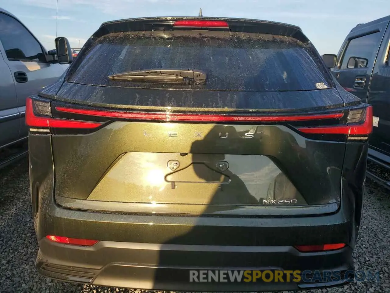 6 Photograph of a damaged car 2T2ADCAZ4NC002446 LEXUS NX 250 2022