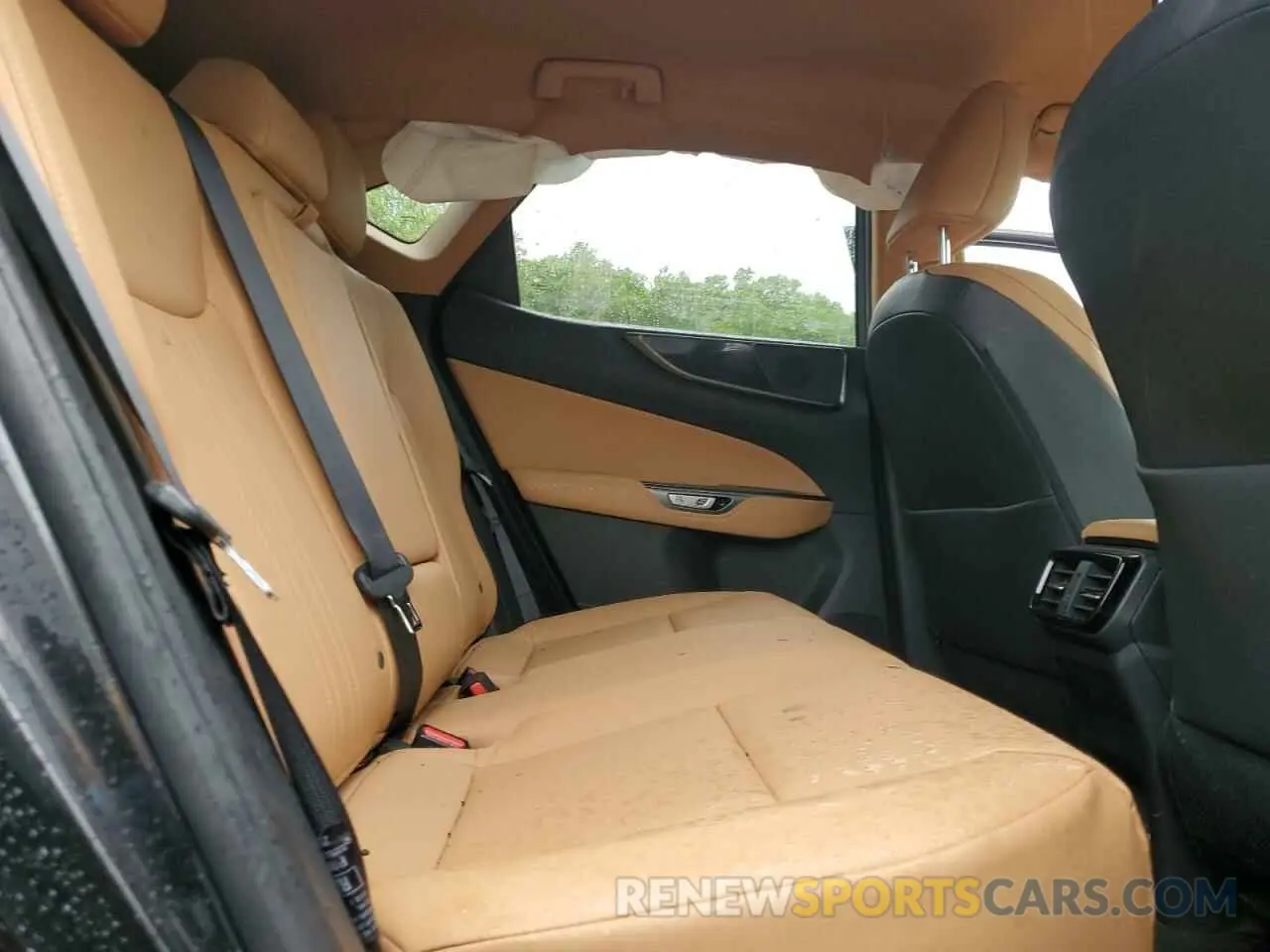 11 Photograph of a damaged car 2T2ADCEZ9NC001870 LEXUS NX 250 2022