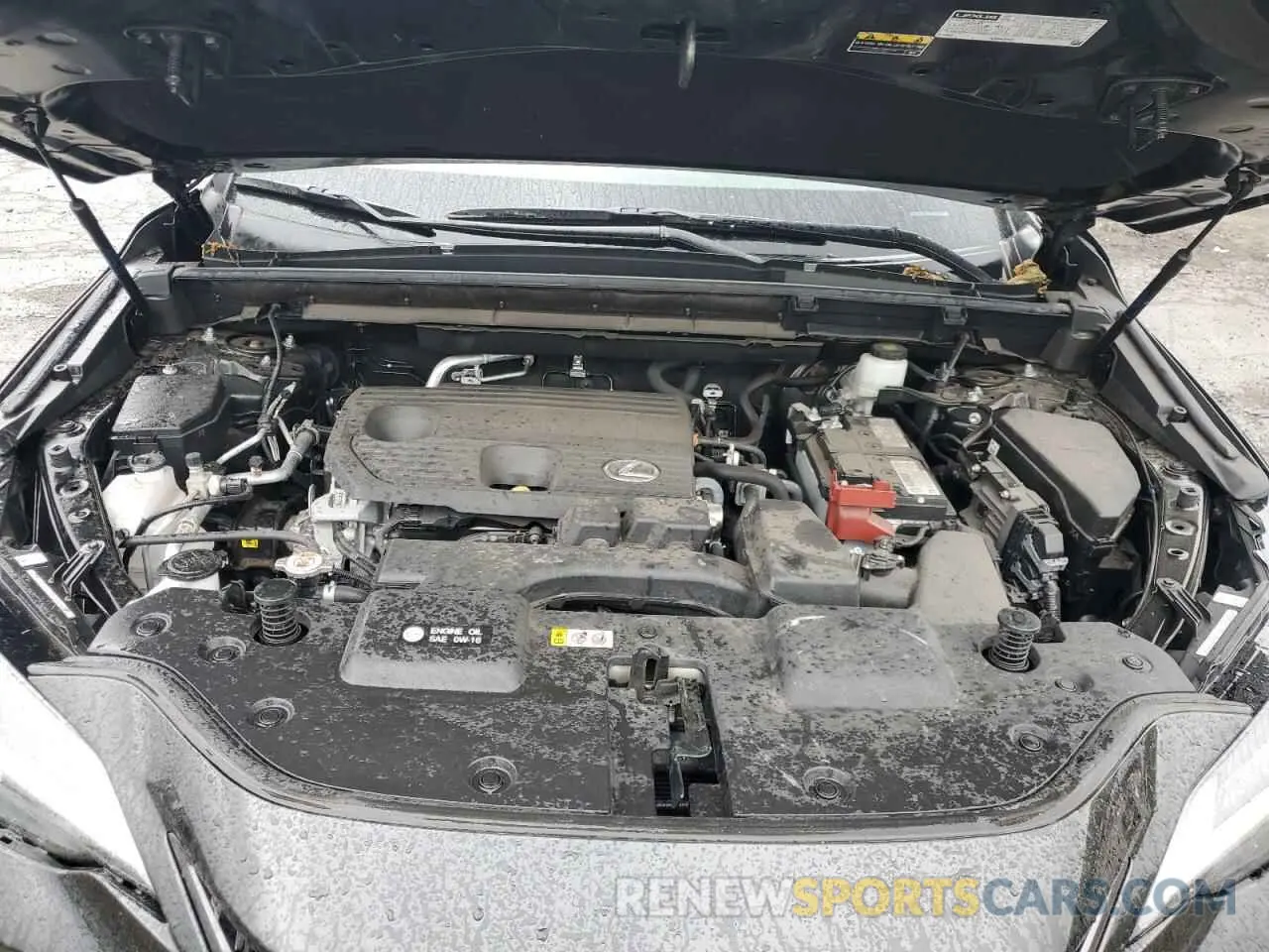 12 Photograph of a damaged car 2T2ADCEZ9NC001870 LEXUS NX 250 2022