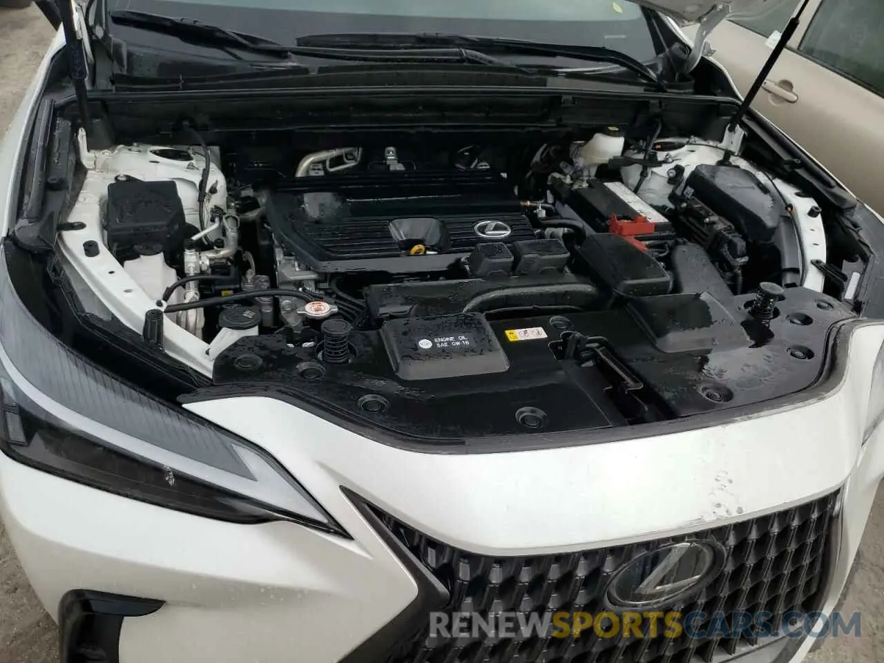 12 Photograph of a damaged car JTJADCAZ1N5001141 LEXUS NX 250 2022