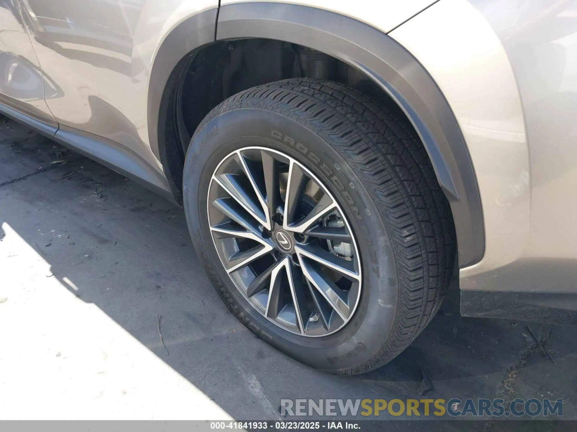 6 Photograph of a damaged car JTJADCEZ9N5000474 LEXUS NX 250 2022