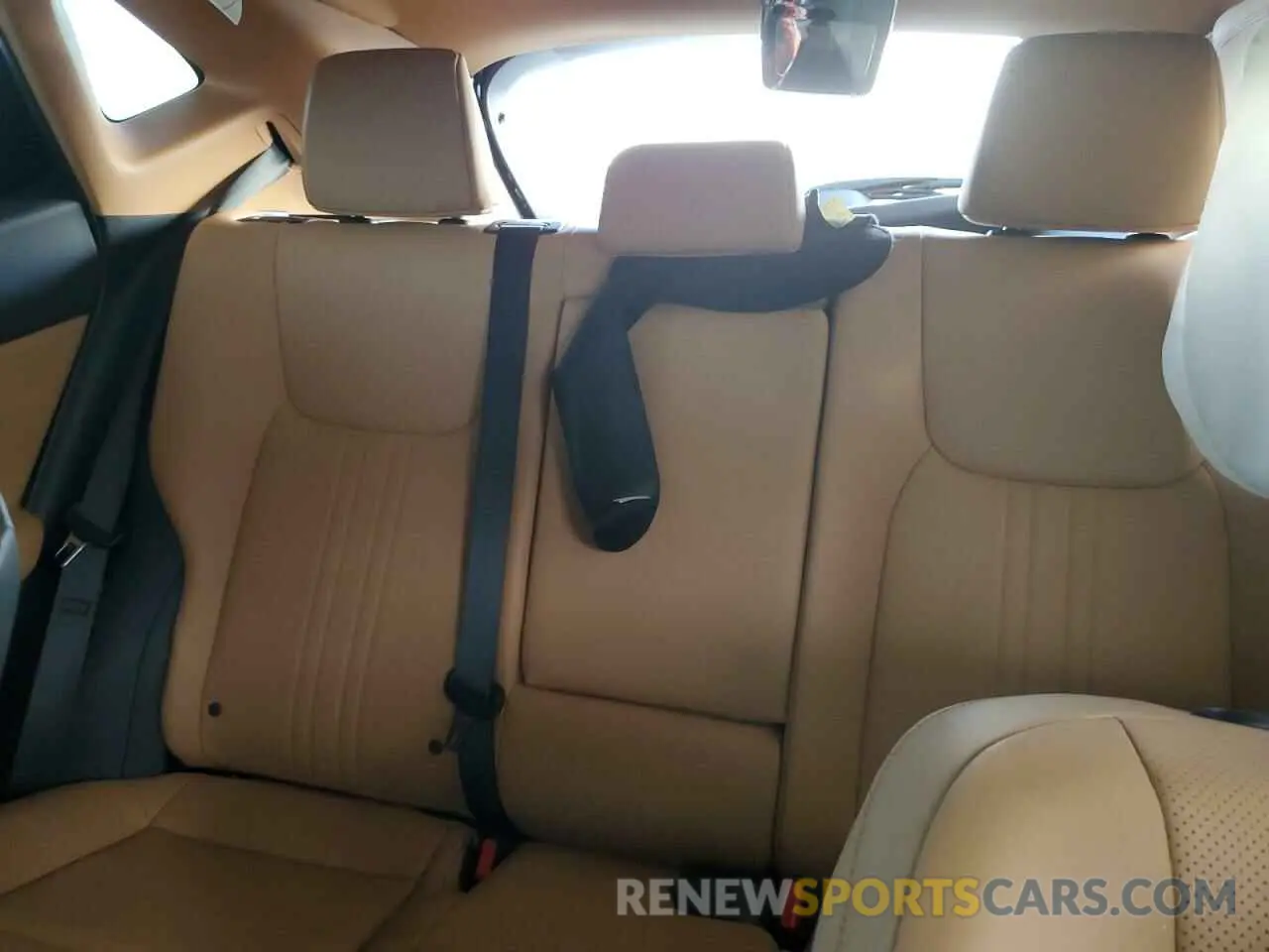 10 Photograph of a damaged car 2T2ADCAZ7PC005036 LEXUS NX 250 2023