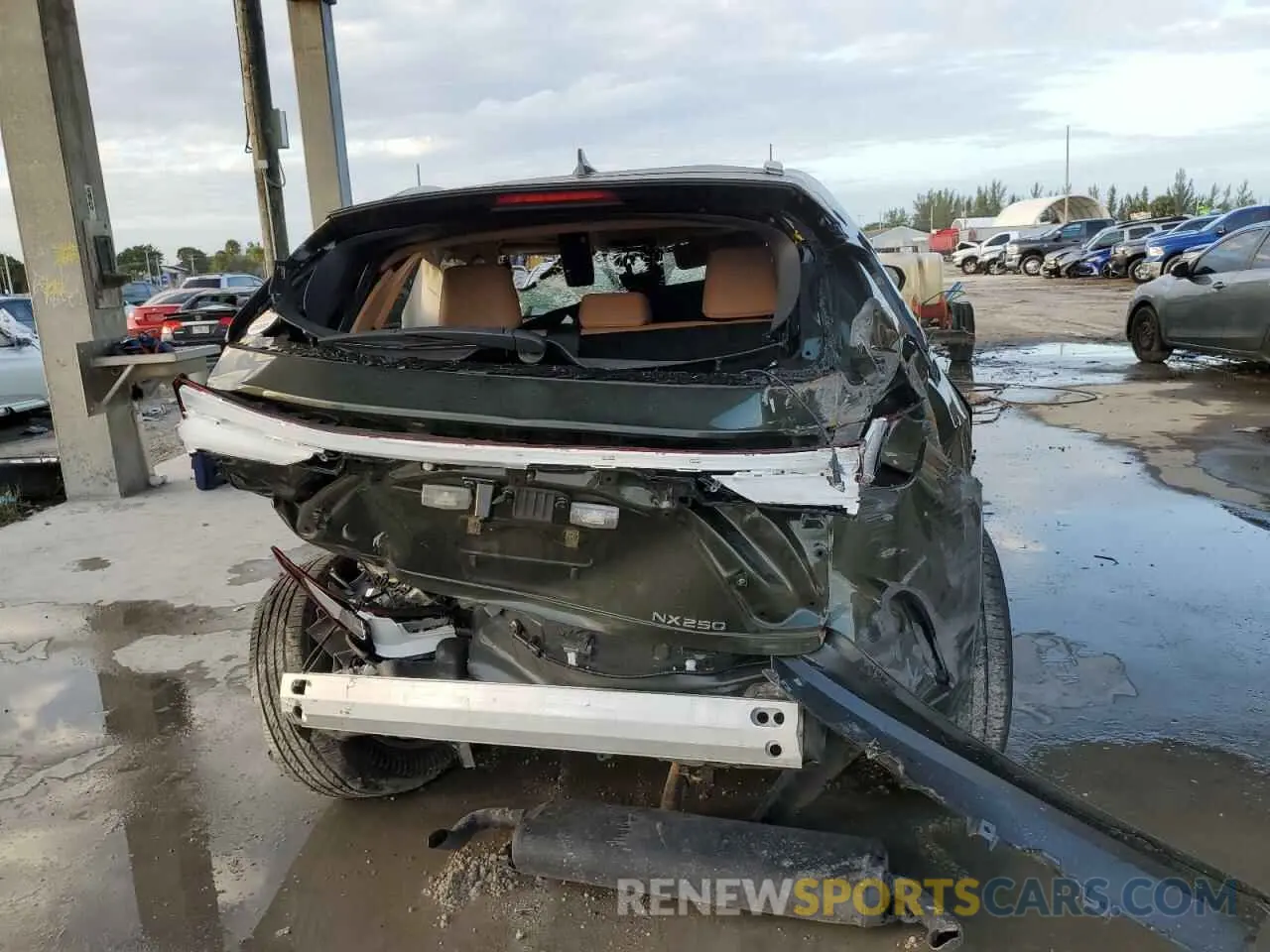 6 Photograph of a damaged car 2T2ADCAZ7PC005036 LEXUS NX 250 2023