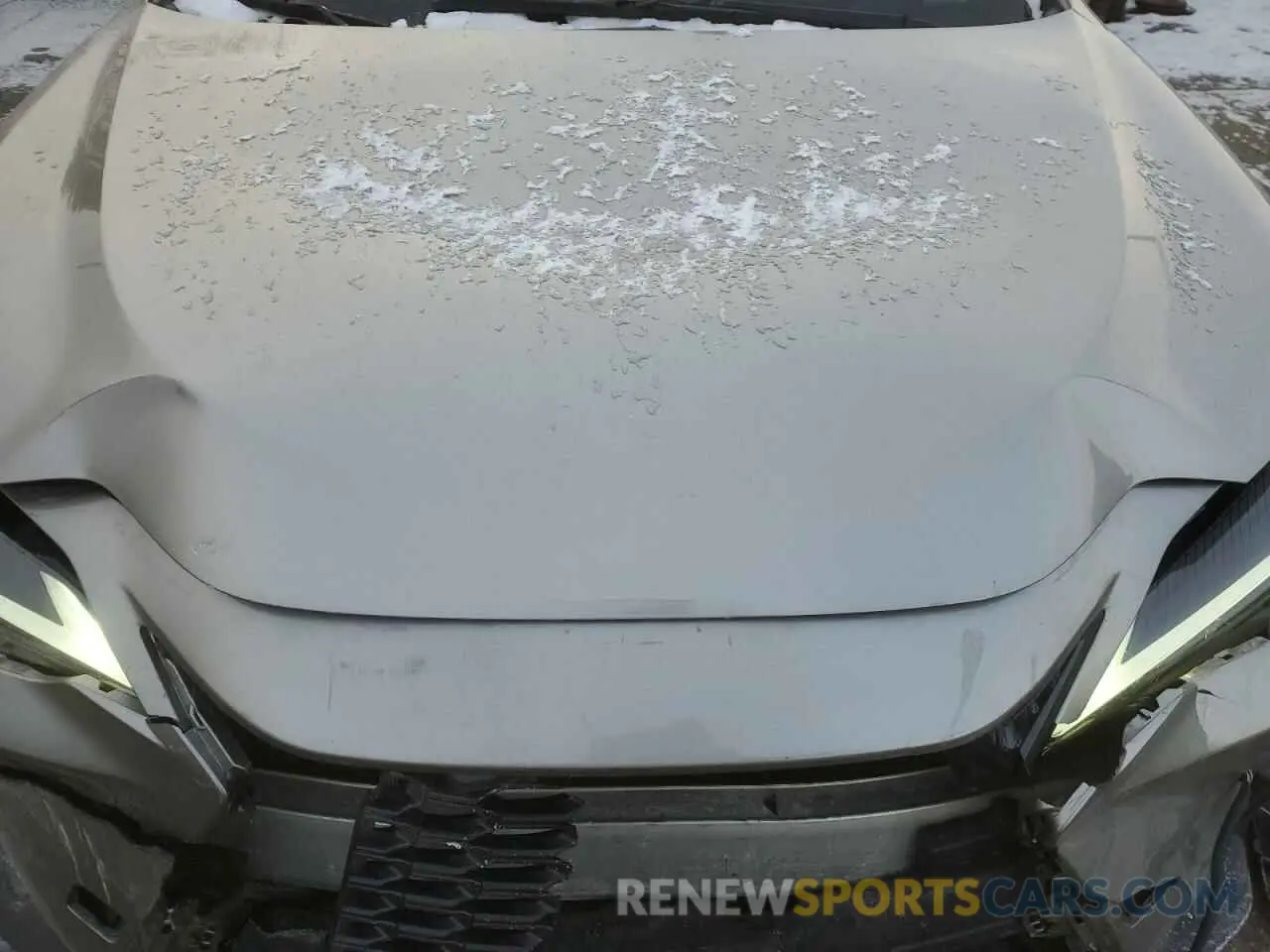 12 Photograph of a damaged car 2T2ADCEZ7PC003135 LEXUS NX 250 2023