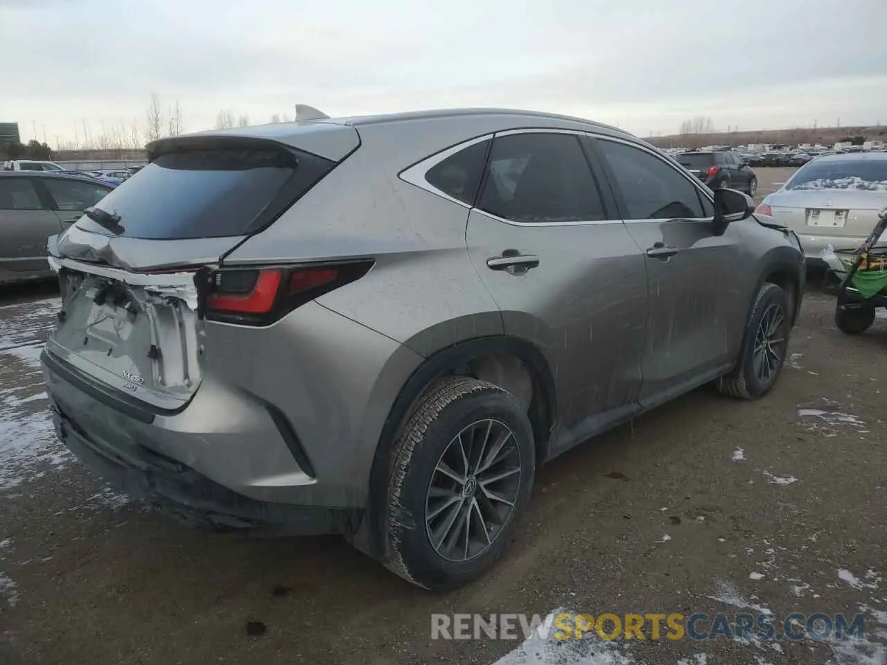 3 Photograph of a damaged car 2T2ADCEZ7PC003135 LEXUS NX 250 2023