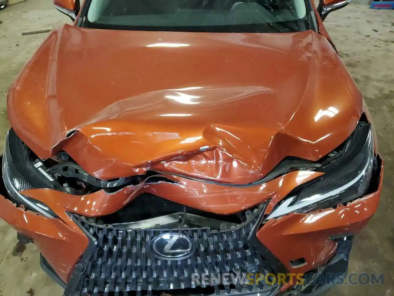 12 Photograph of a damaged car 2T2GDCAZ3PC003990 LEXUS NX 250 2023