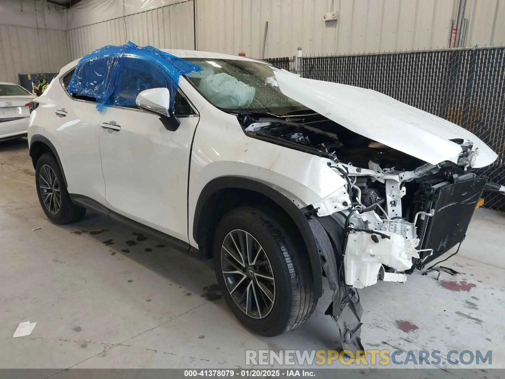 1 Photograph of a damaged car JTJADCAZ4P2006757 LEXUS NX 250 2023