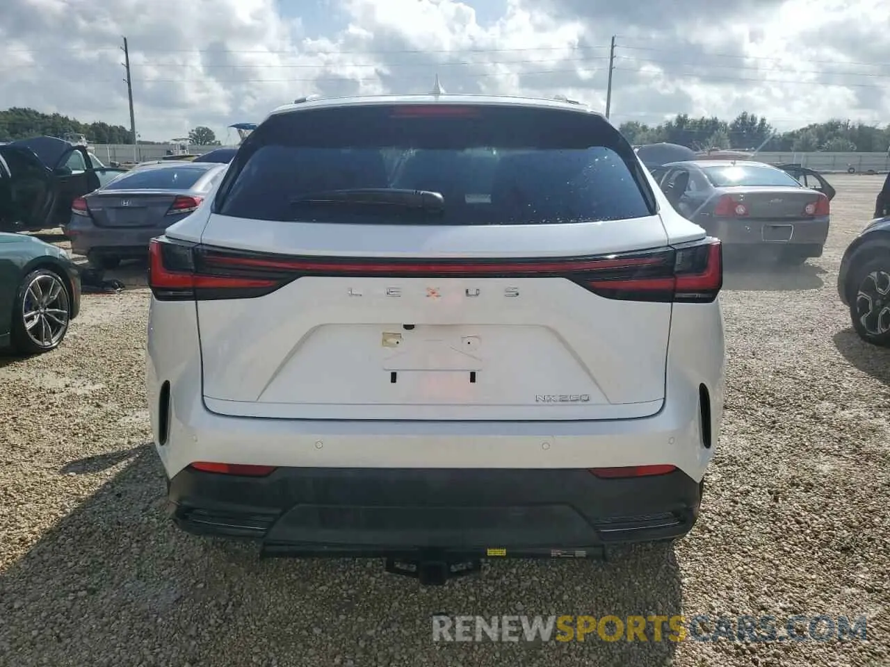 6 Photograph of a damaged car JTJGDCAZ2P5009827 LEXUS NX 250 2023