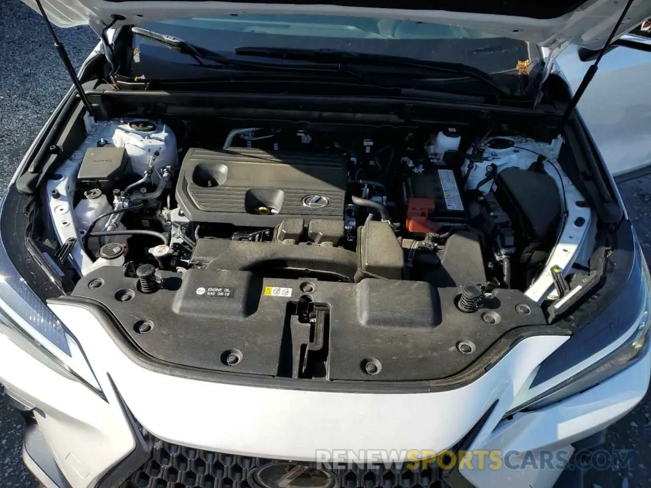 12 Photograph of a damaged car JTJGDCAZ6P5010852 LEXUS NX 250 2023