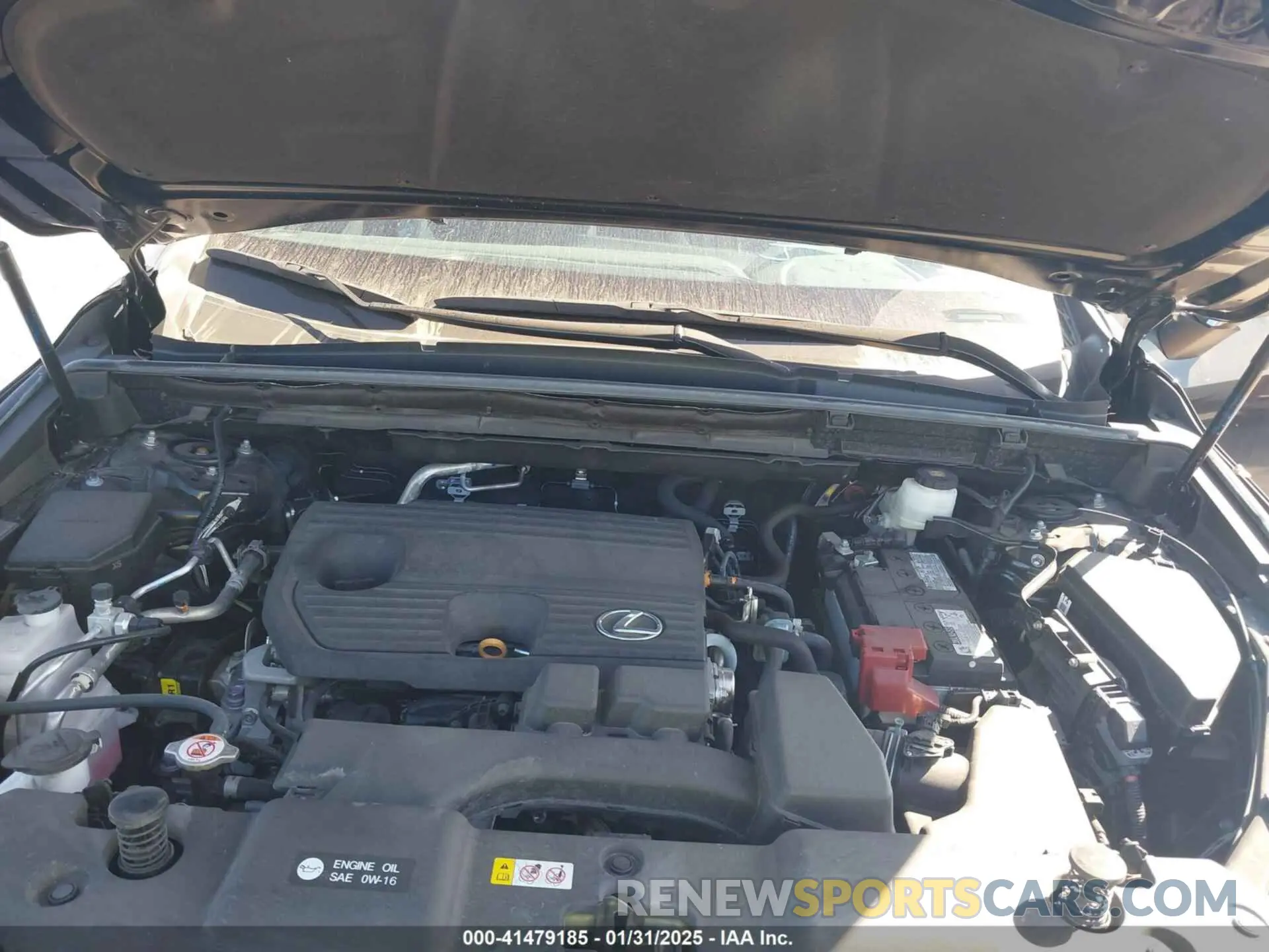 10 Photograph of a damaged car 2T2ADCAZ0RC010937 LEXUS NX 250 2024