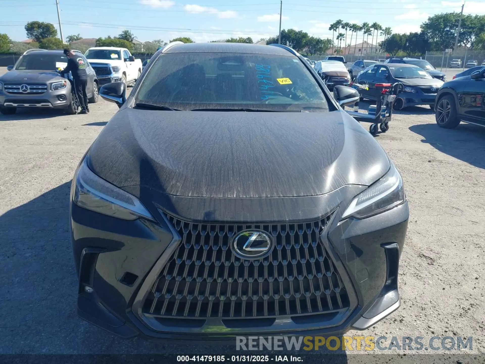 12 Photograph of a damaged car 2T2ADCAZ0RC010937 LEXUS NX 250 2024