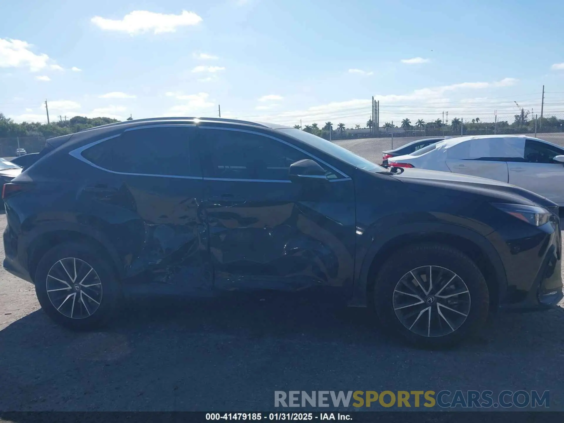 13 Photograph of a damaged car 2T2ADCAZ0RC010937 LEXUS NX 250 2024