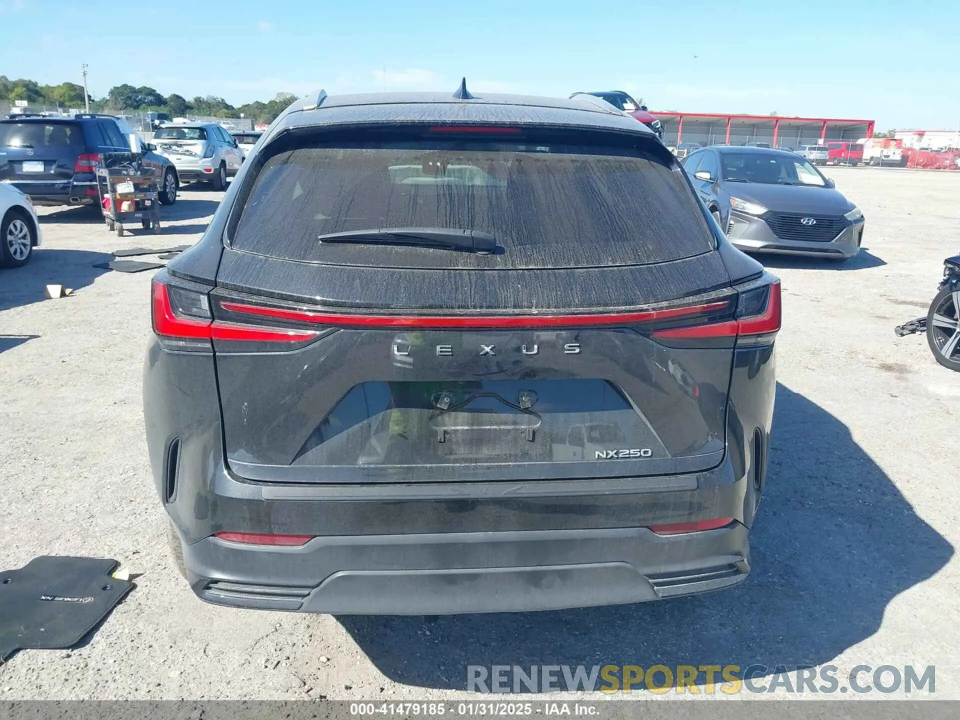 16 Photograph of a damaged car 2T2ADCAZ0RC010937 LEXUS NX 250 2024