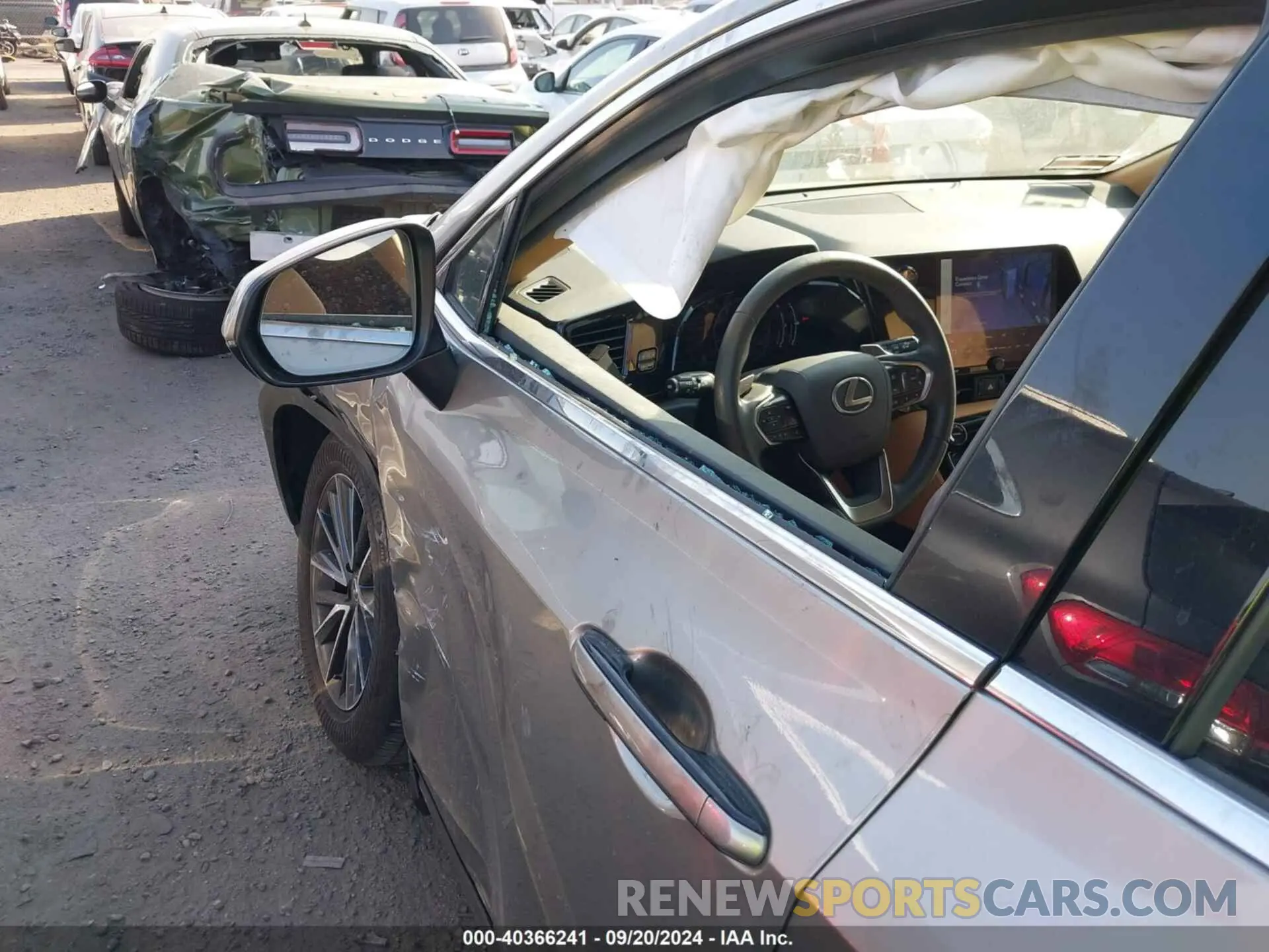 12 Photograph of a damaged car 2T2ADCAZ1RC007027 LEXUS NX 250 2024