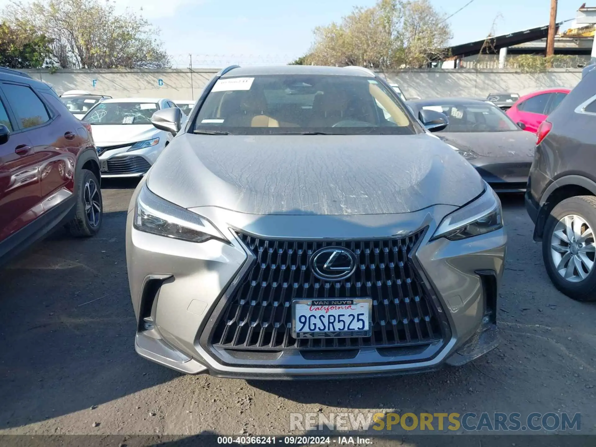 13 Photograph of a damaged car 2T2ADCAZ1RC007027 LEXUS NX 250 2024