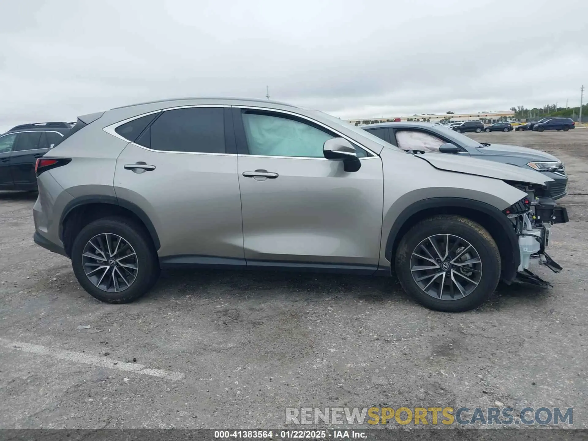 12 Photograph of a damaged car 2T2ADCAZ2RC014553 LEXUS NX 250 2024
