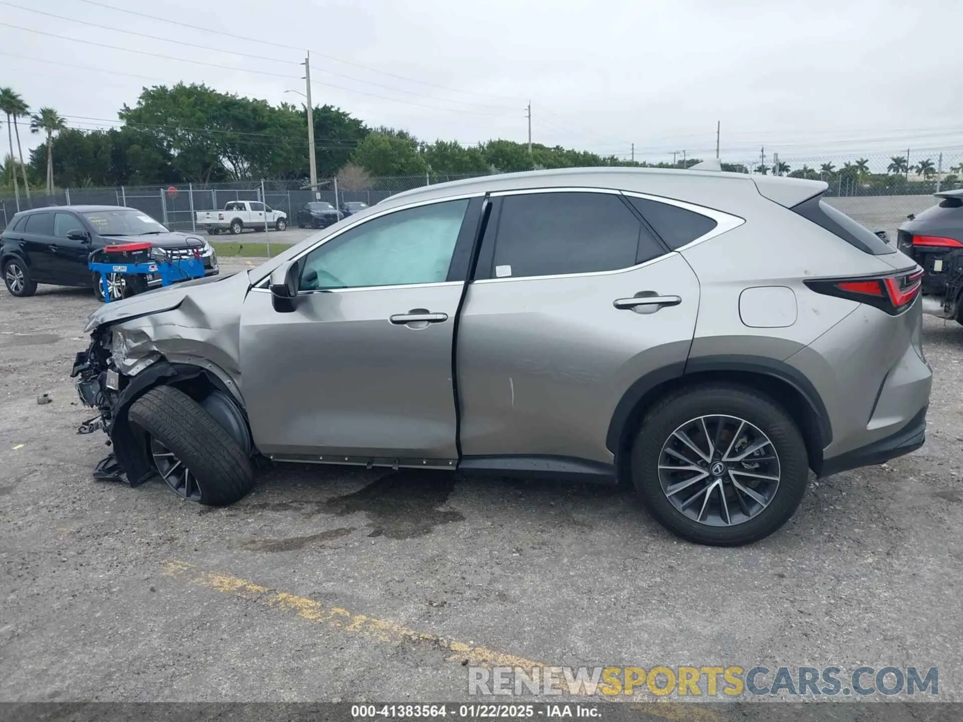 13 Photograph of a damaged car 2T2ADCAZ2RC014553 LEXUS NX 250 2024