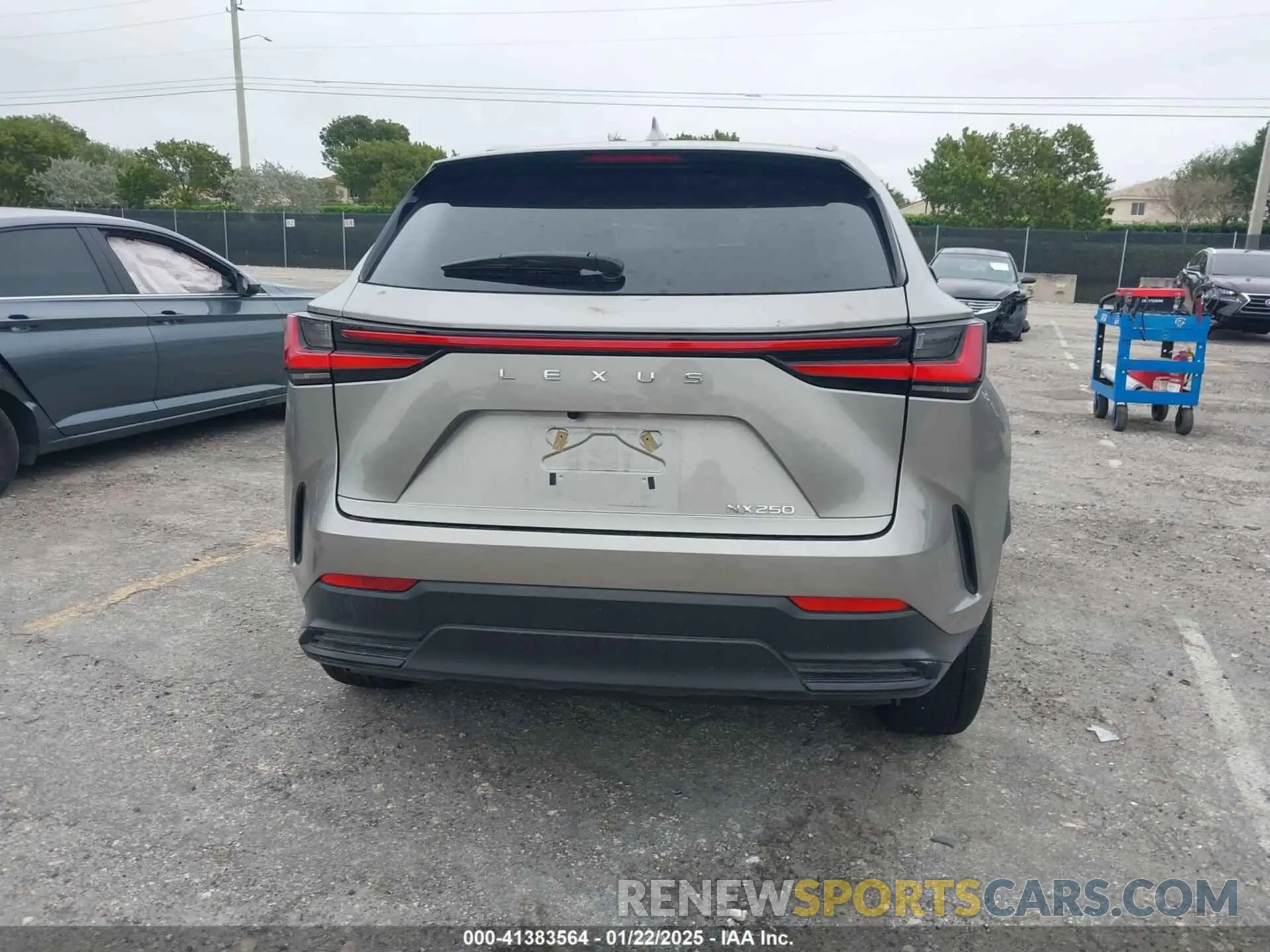 15 Photograph of a damaged car 2T2ADCAZ2RC014553 LEXUS NX 250 2024