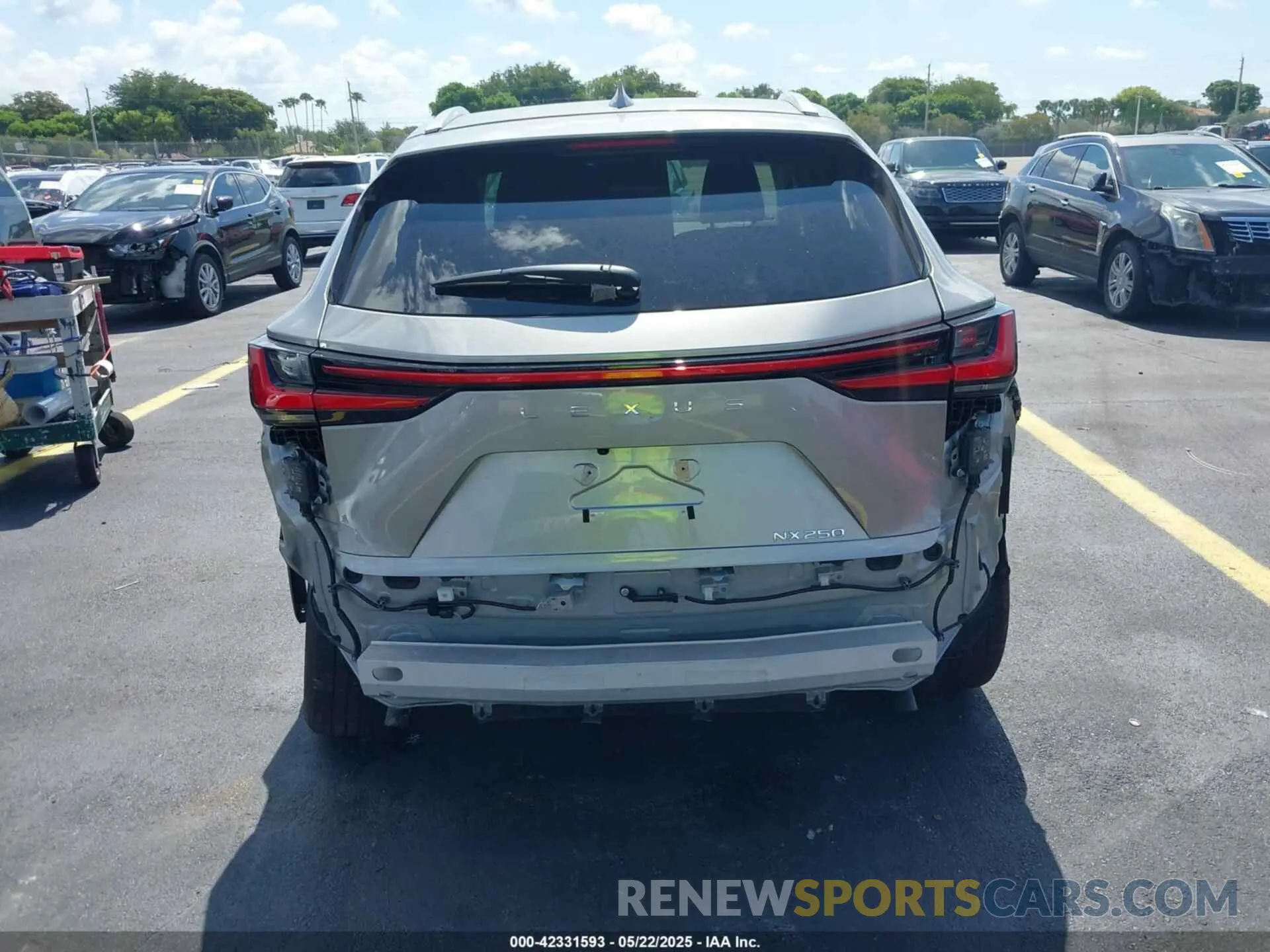 17 Photograph of a damaged car 2T2ADCAZ3RC009989 LEXUS NX 250 2024