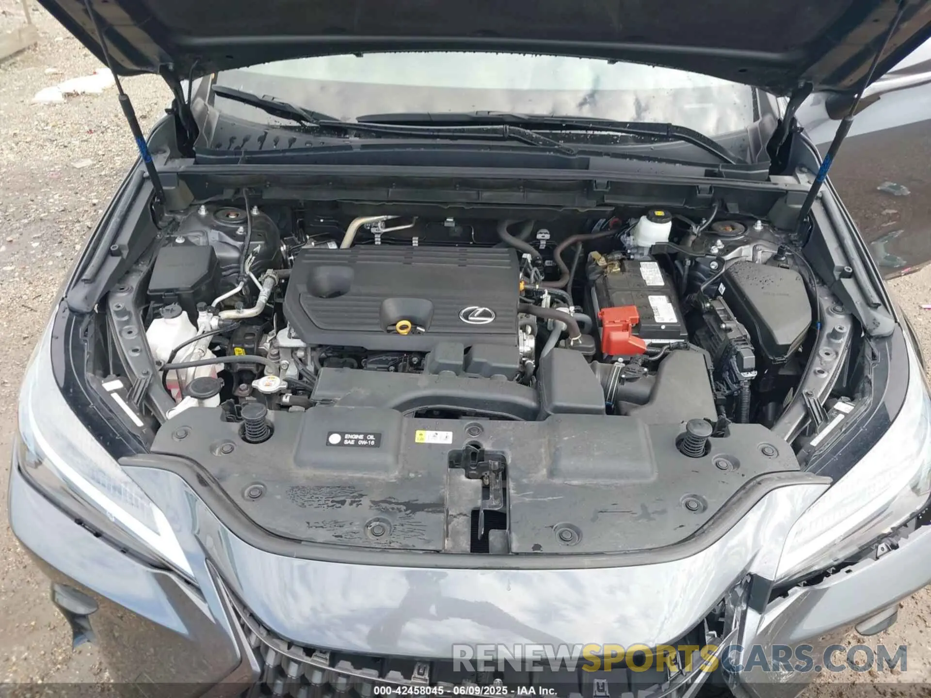 10 Photograph of a damaged car 2T2ADCAZ7RC009302 LEXUS NX 250 2024