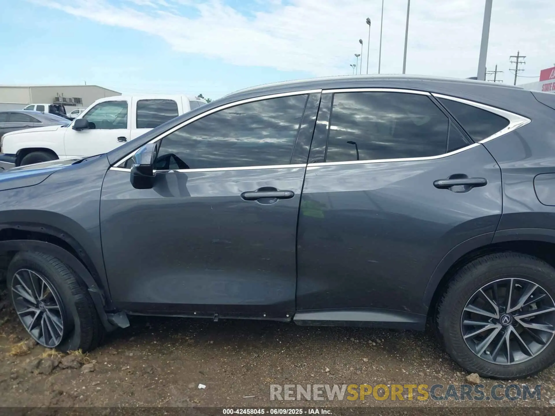 13 Photograph of a damaged car 2T2ADCAZ7RC009302 LEXUS NX 250 2024