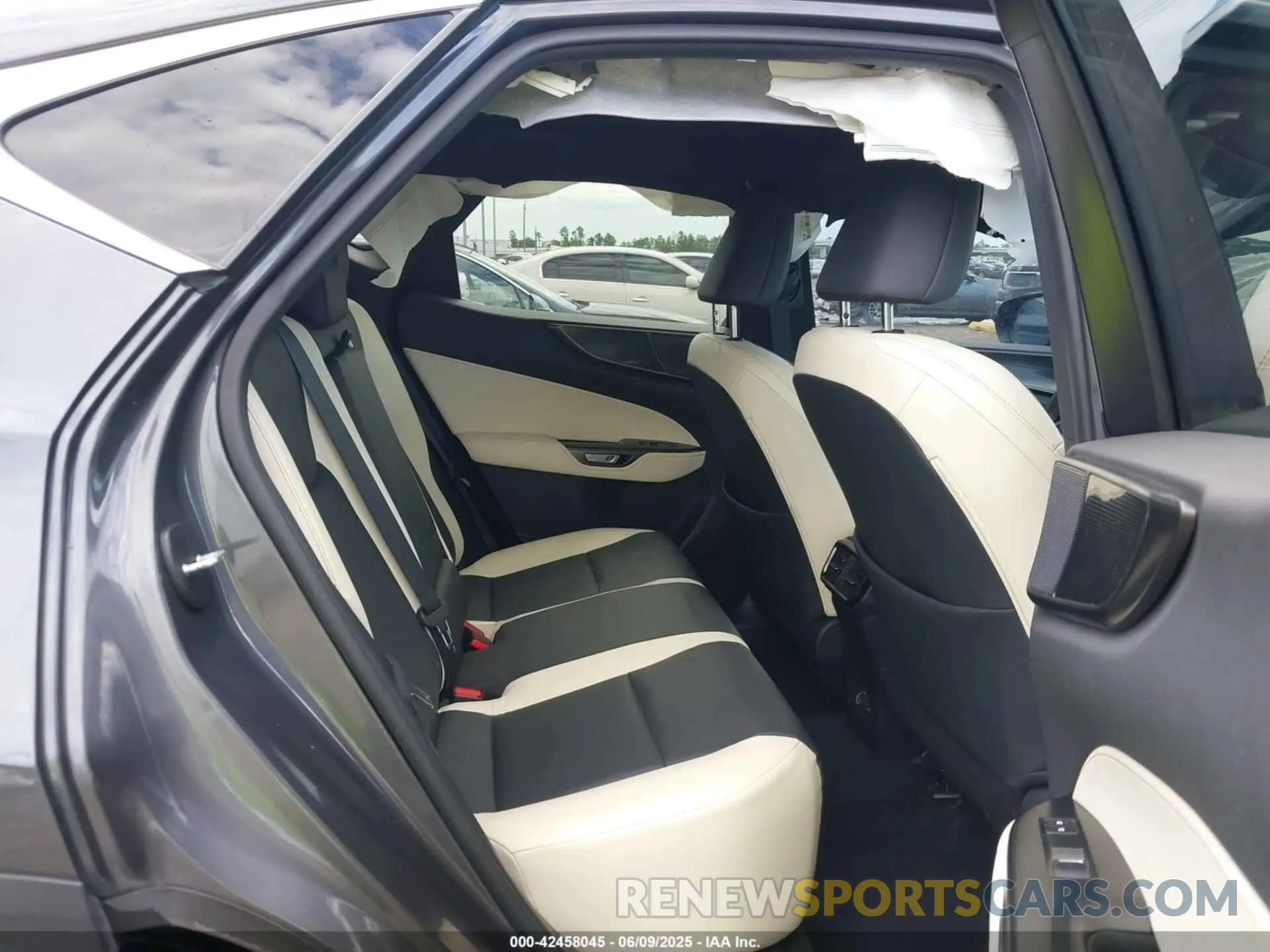 8 Photograph of a damaged car 2T2ADCAZ7RC009302 LEXUS NX 250 2024