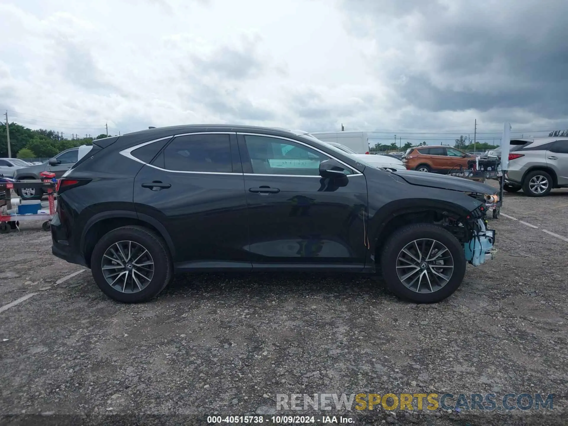 14 Photograph of a damaged car 2T2ADCAZ7RC011549 LEXUS NX 250 2024