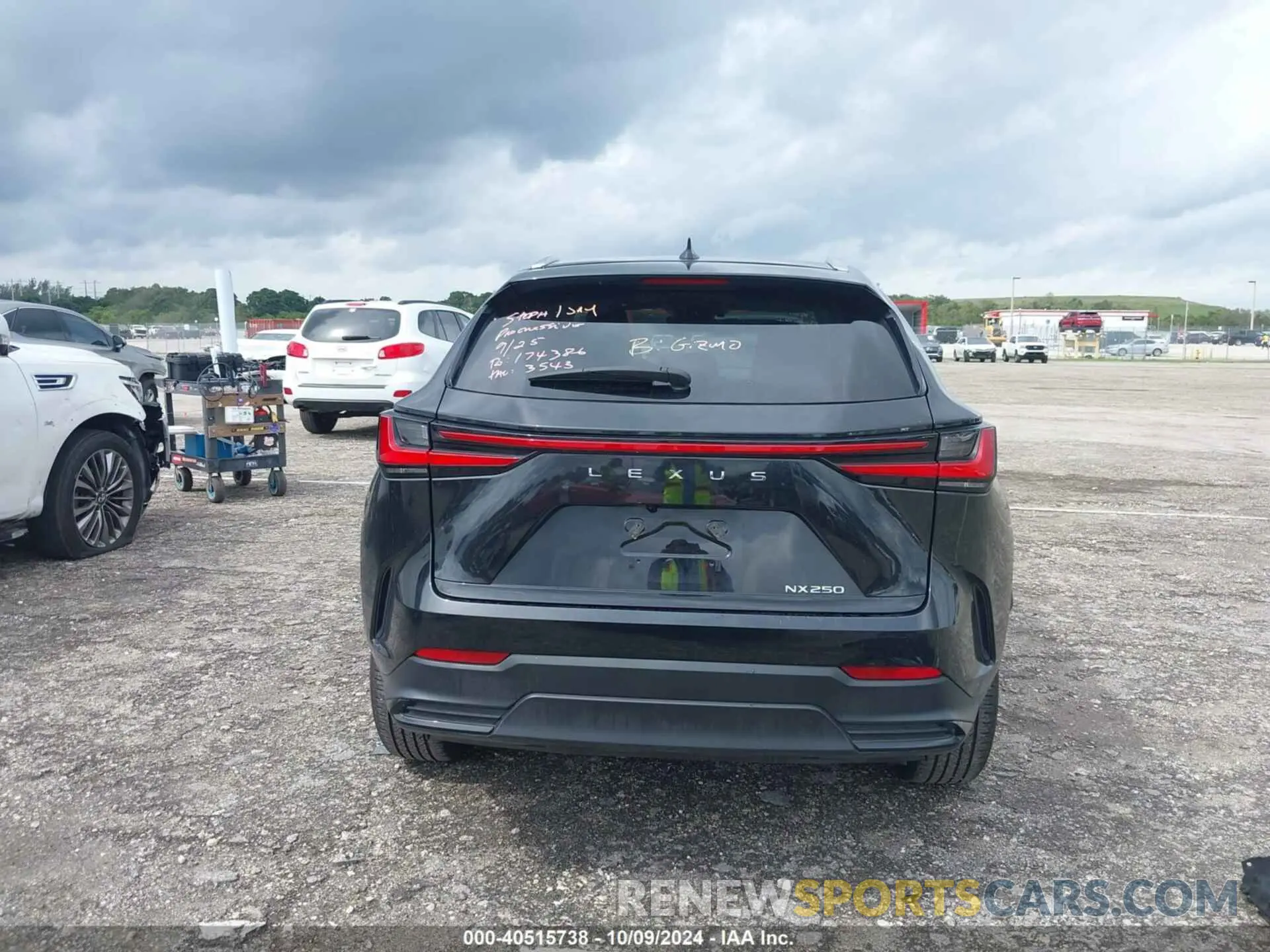 17 Photograph of a damaged car 2T2ADCAZ7RC011549 LEXUS NX 250 2024